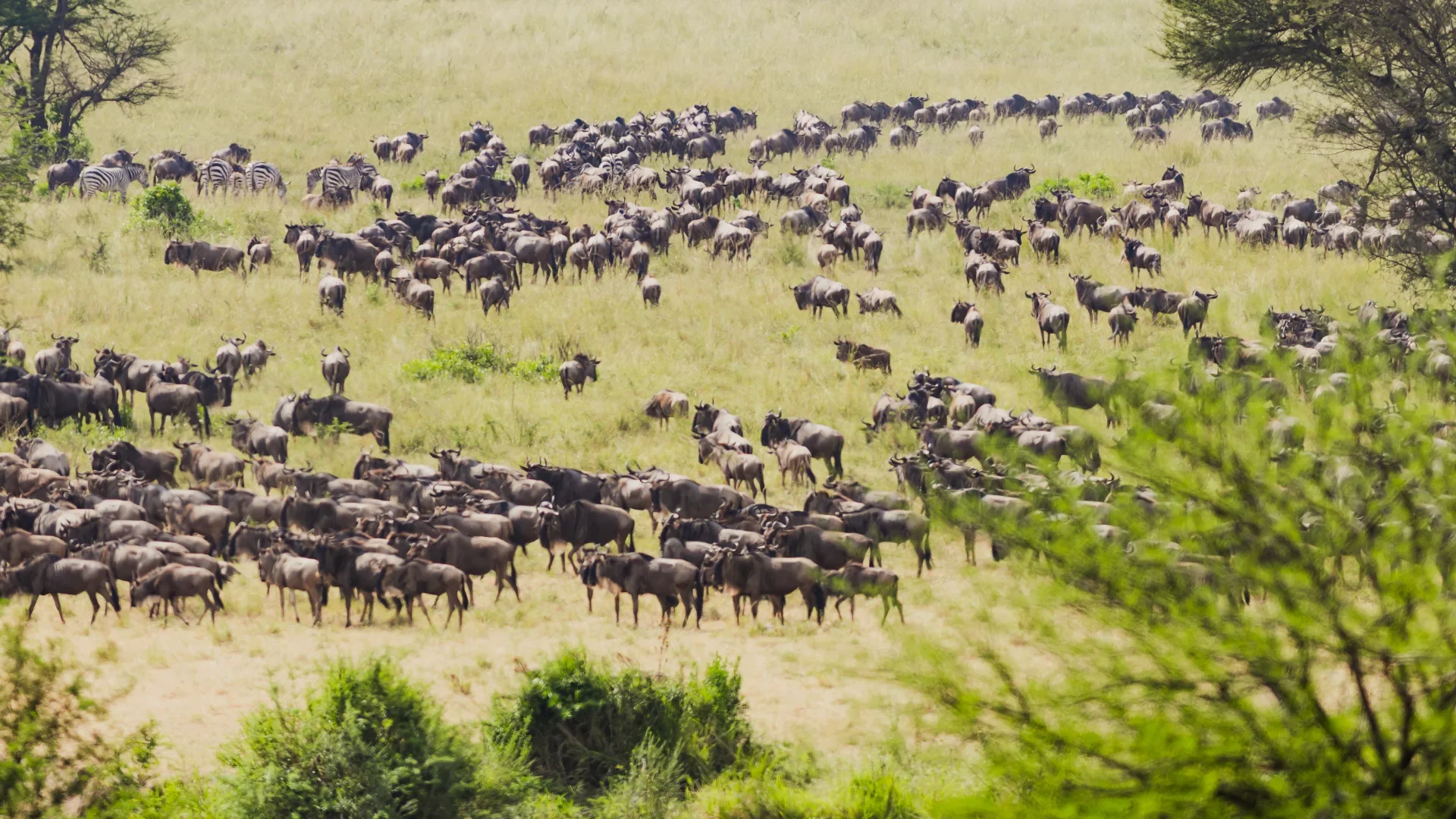 Inspirations Africa
