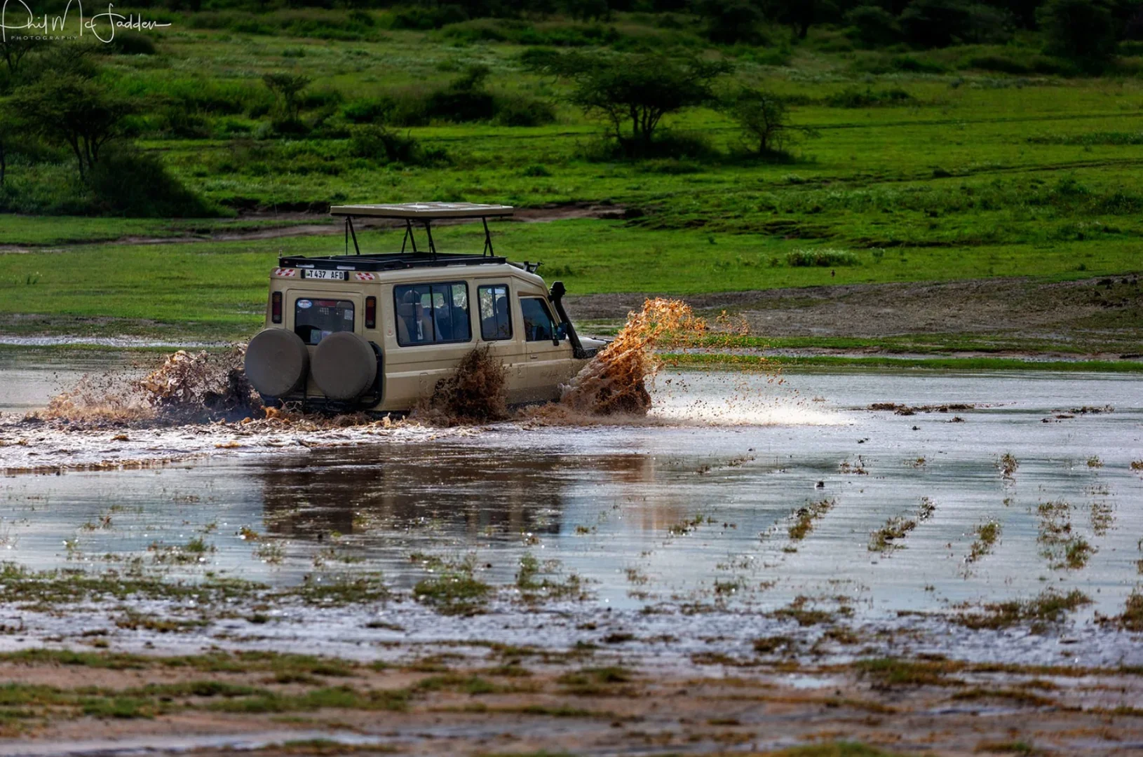 Green Planet Safaris — safari in Tanzania