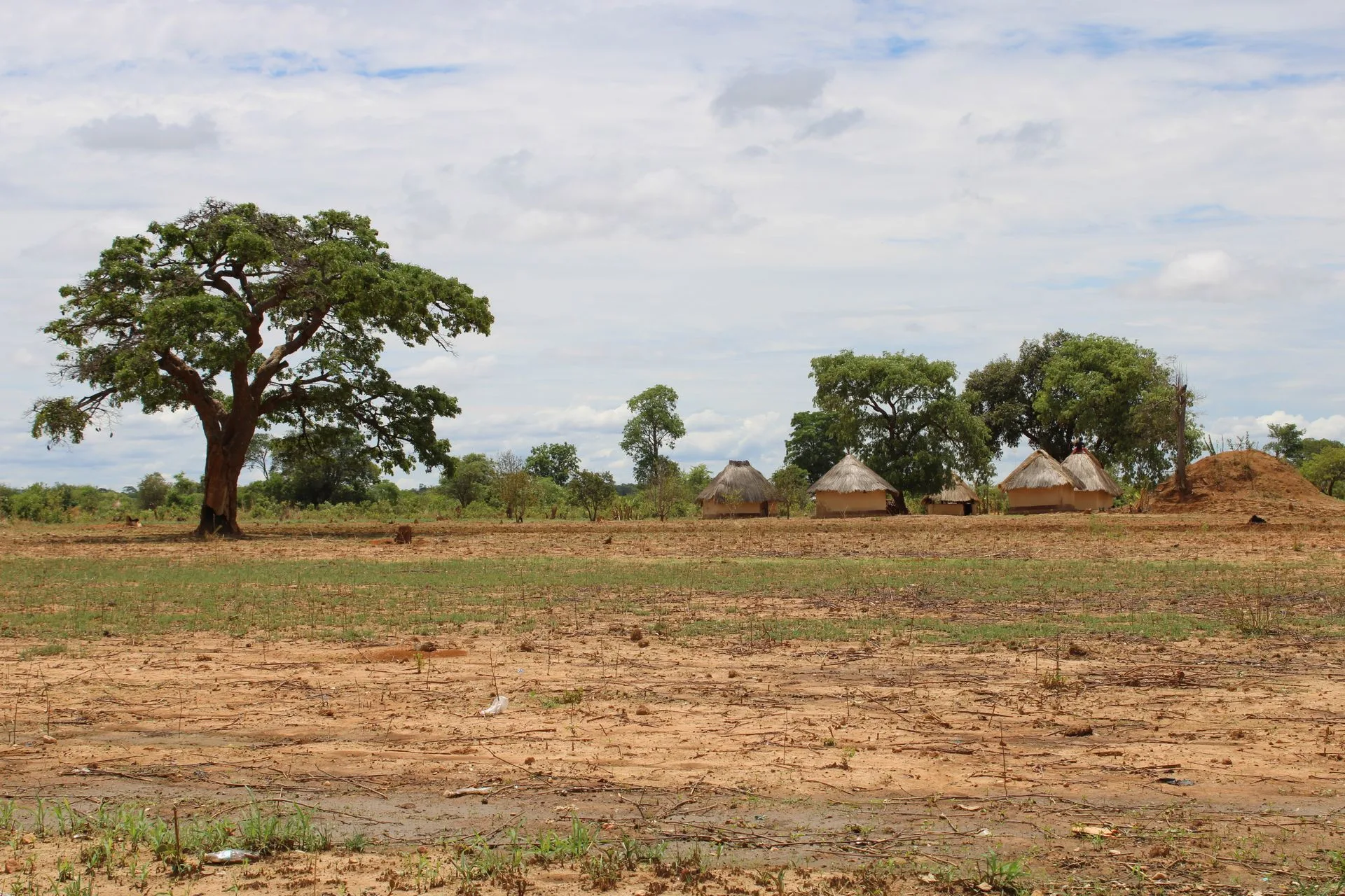 Zambia