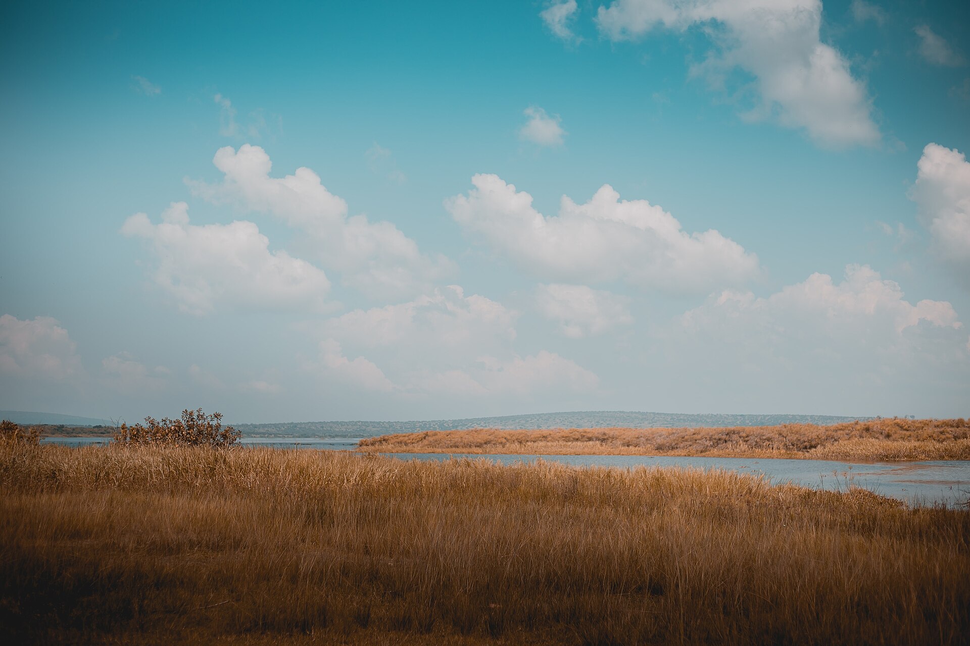 Akagera National Park