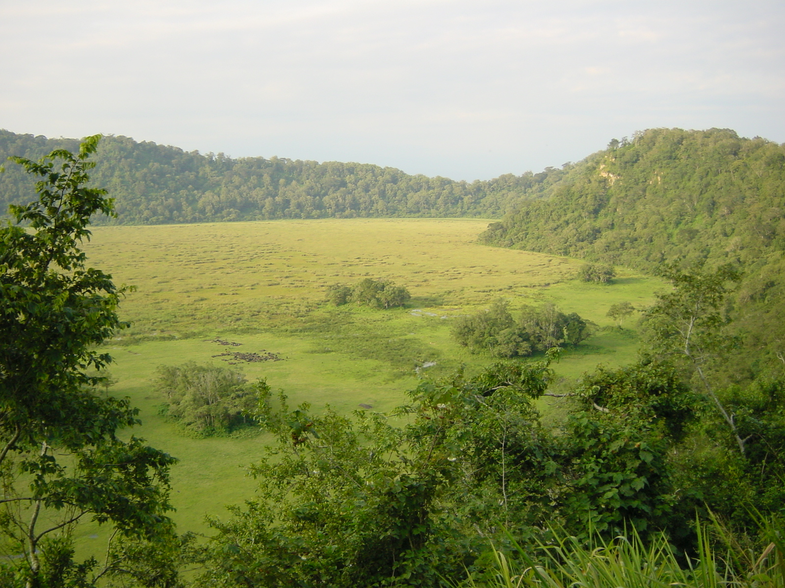 Arusha National Park