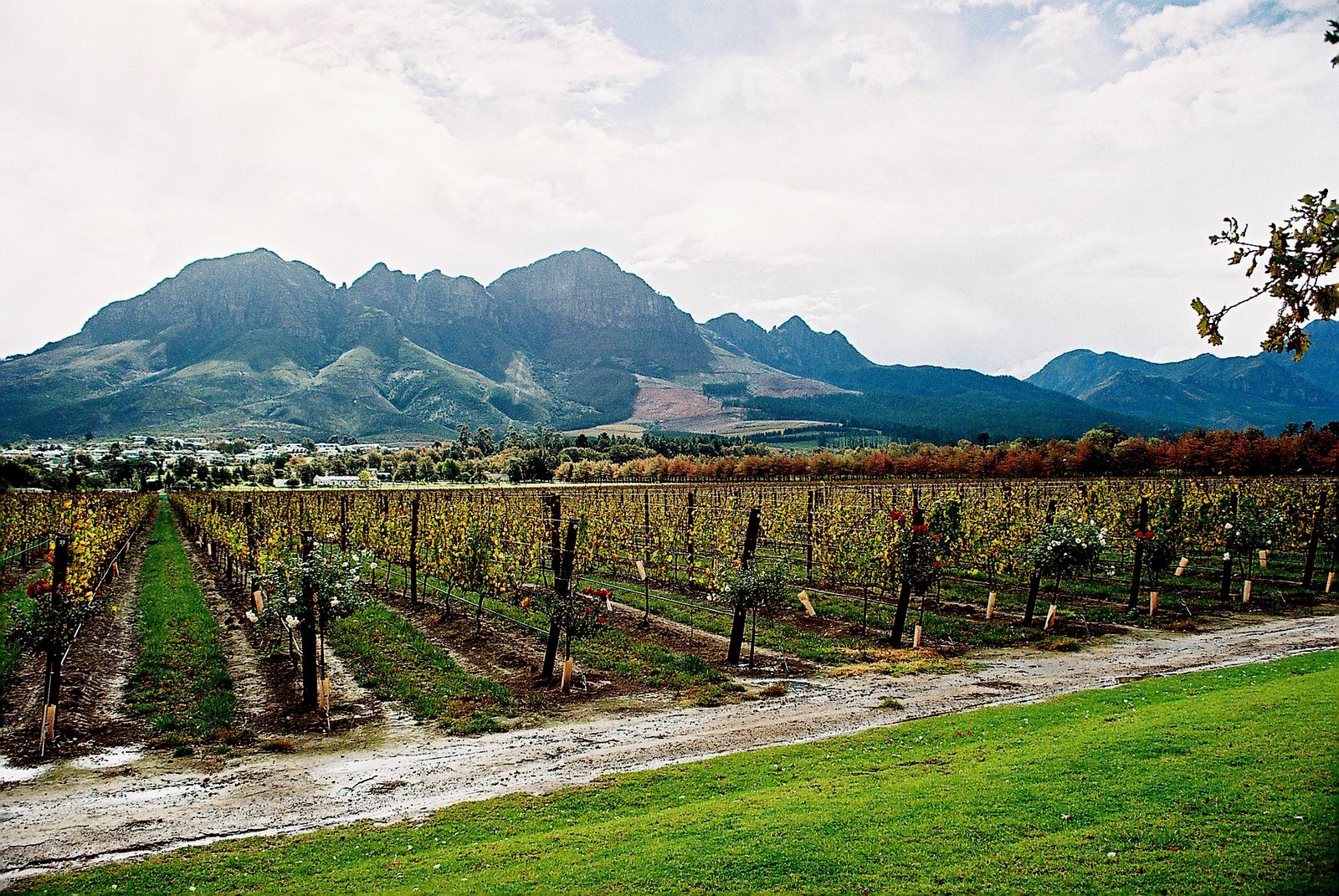 Cape Town & Winelands