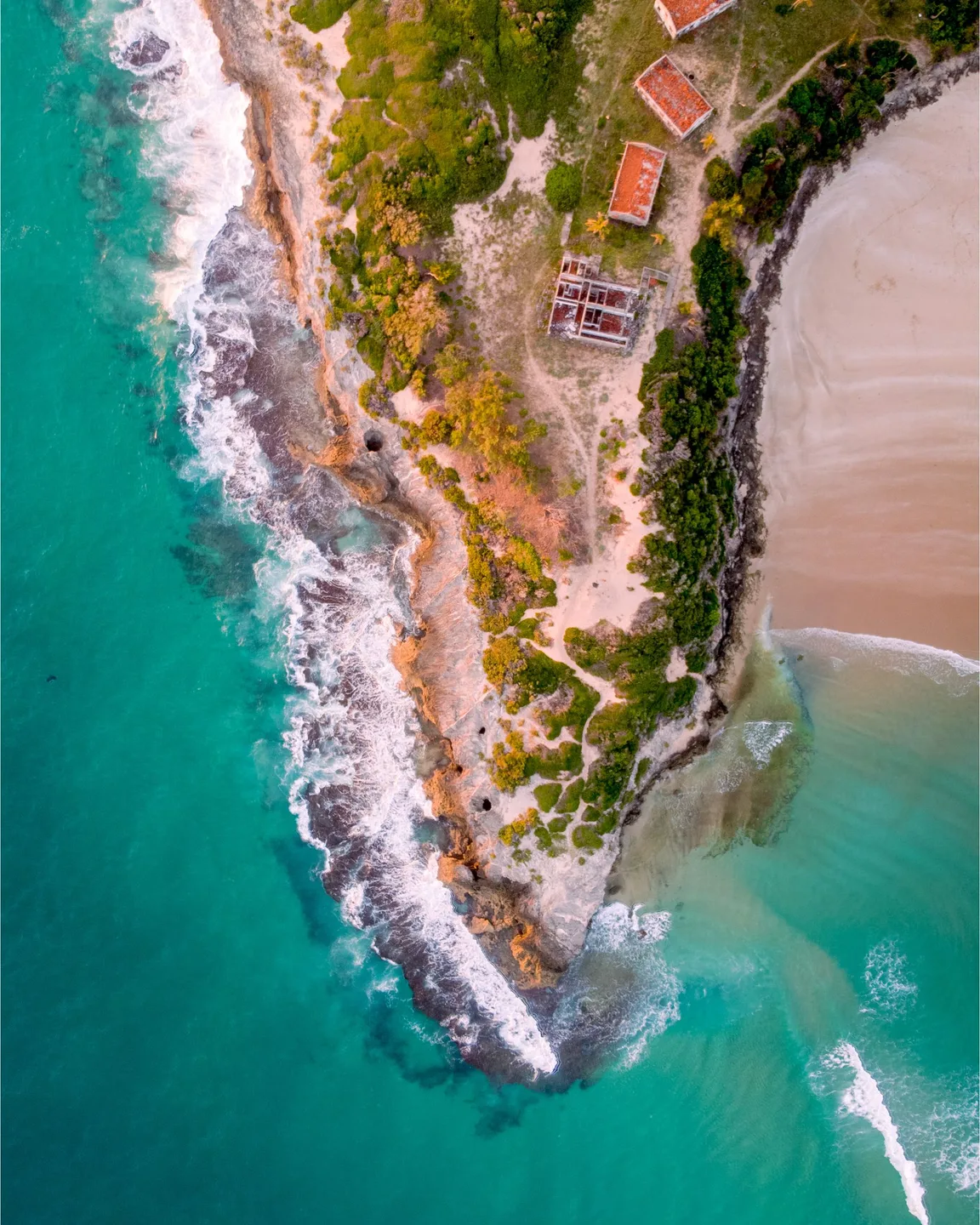 Mozambique safari landscape
