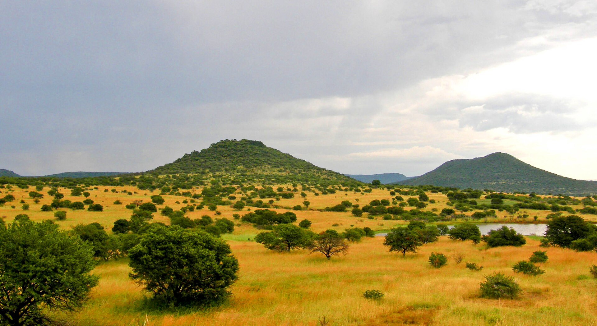 KwaZulu-Natal