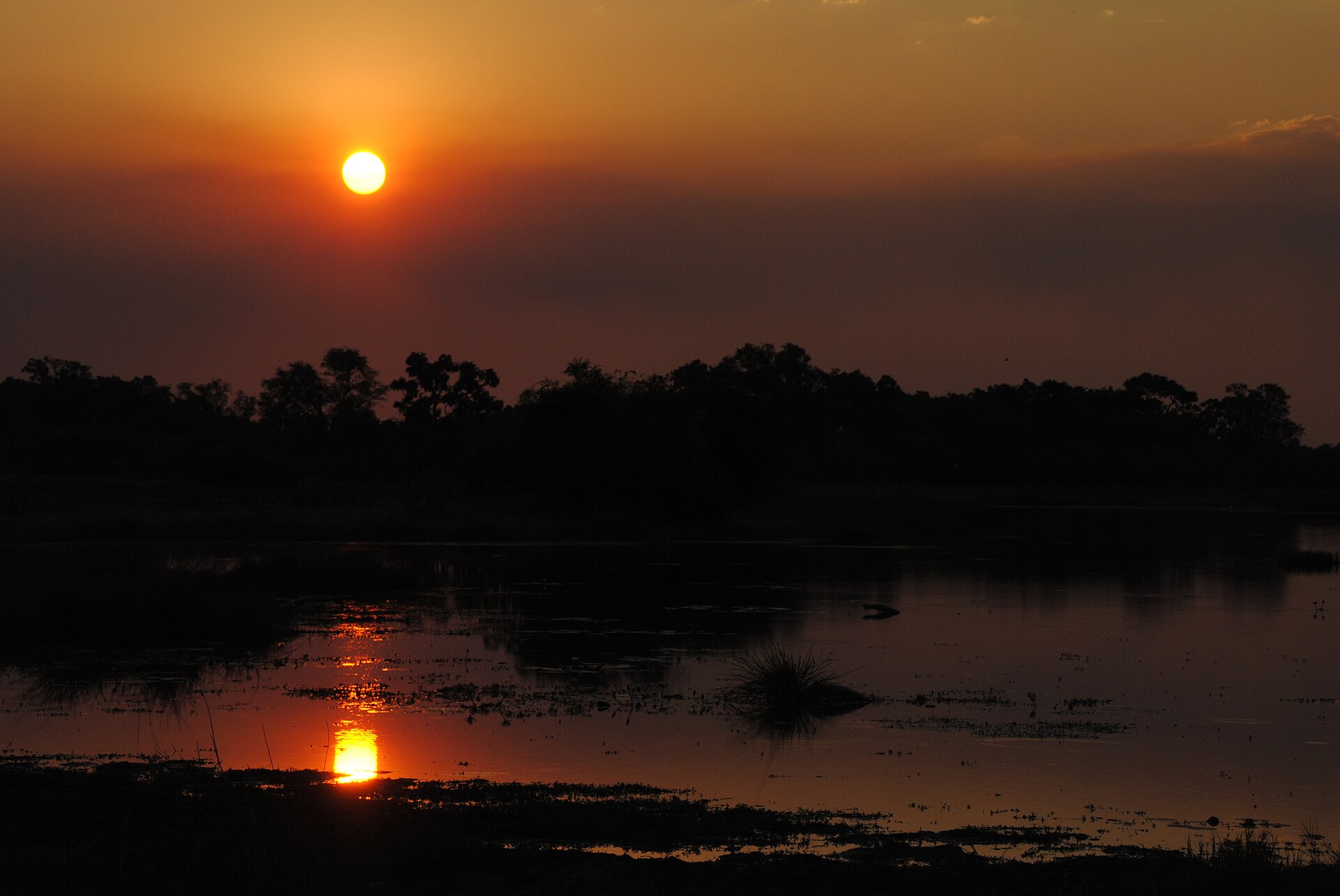 Moremi Game Reserve
