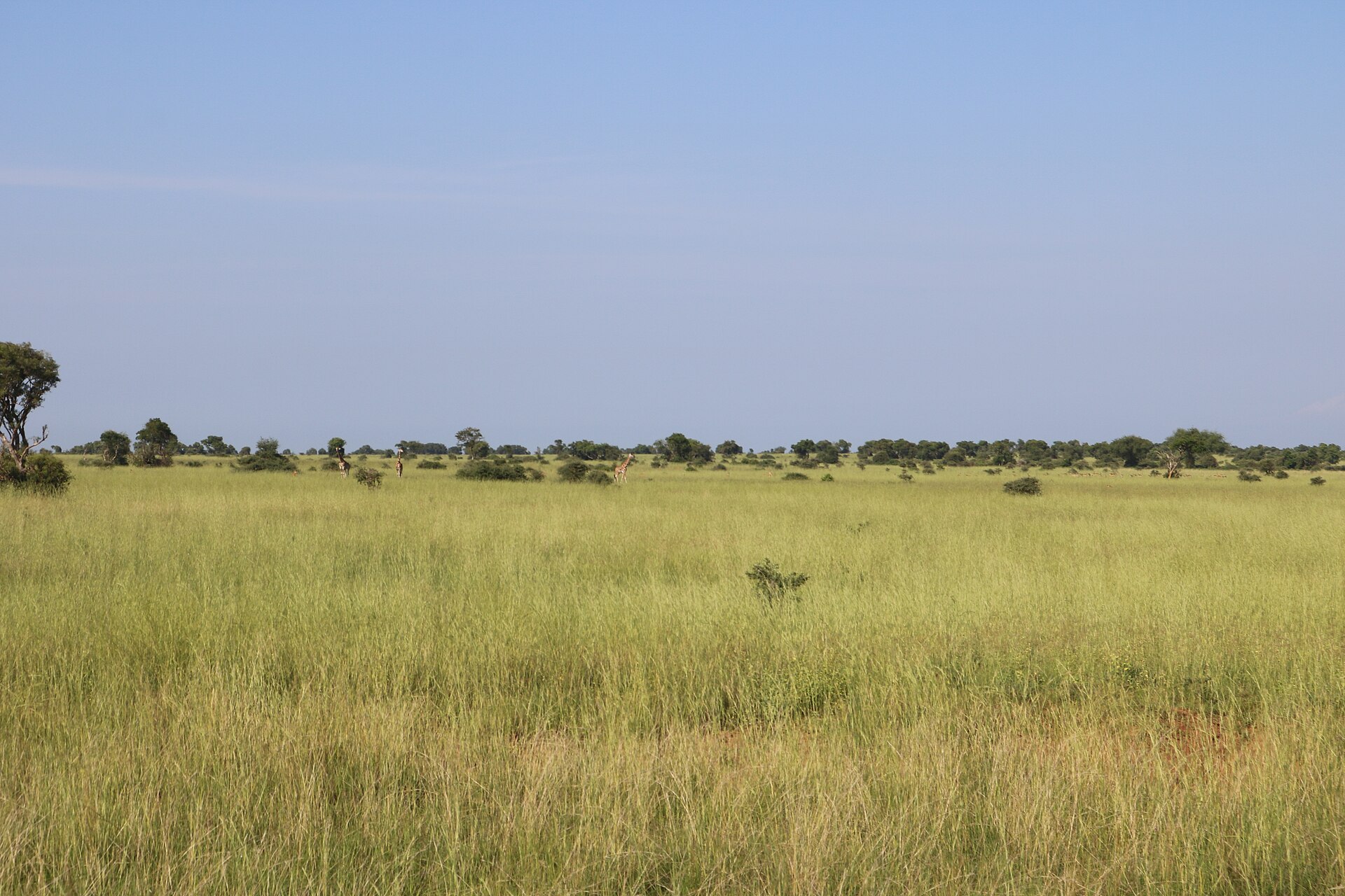 Murchison Falls National Park