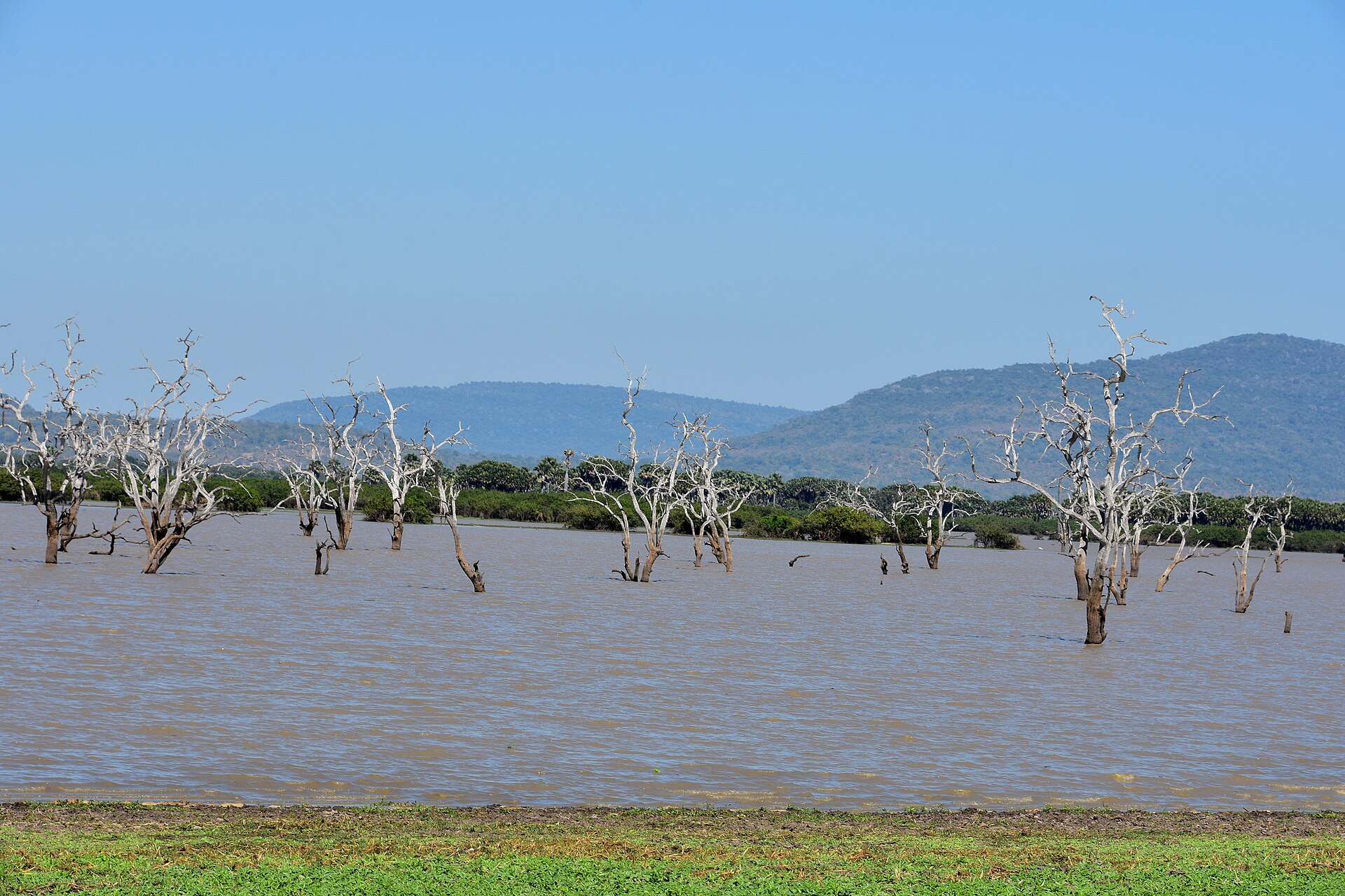 Nyerere National Park