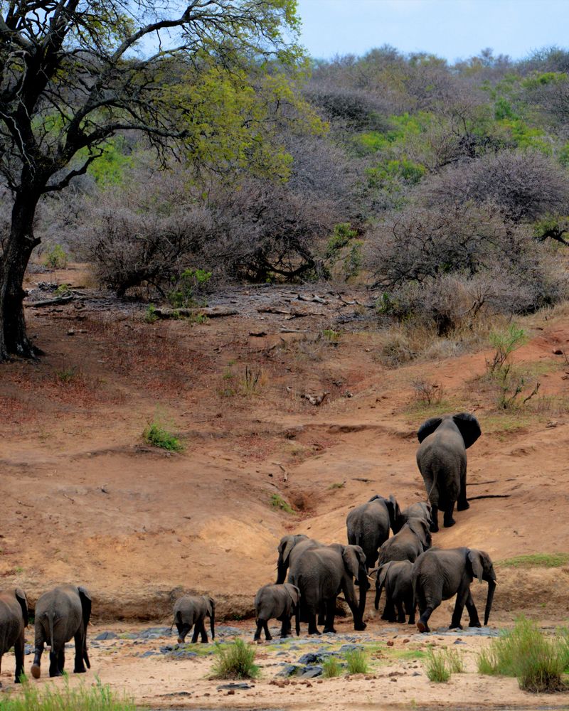Okavango Delta