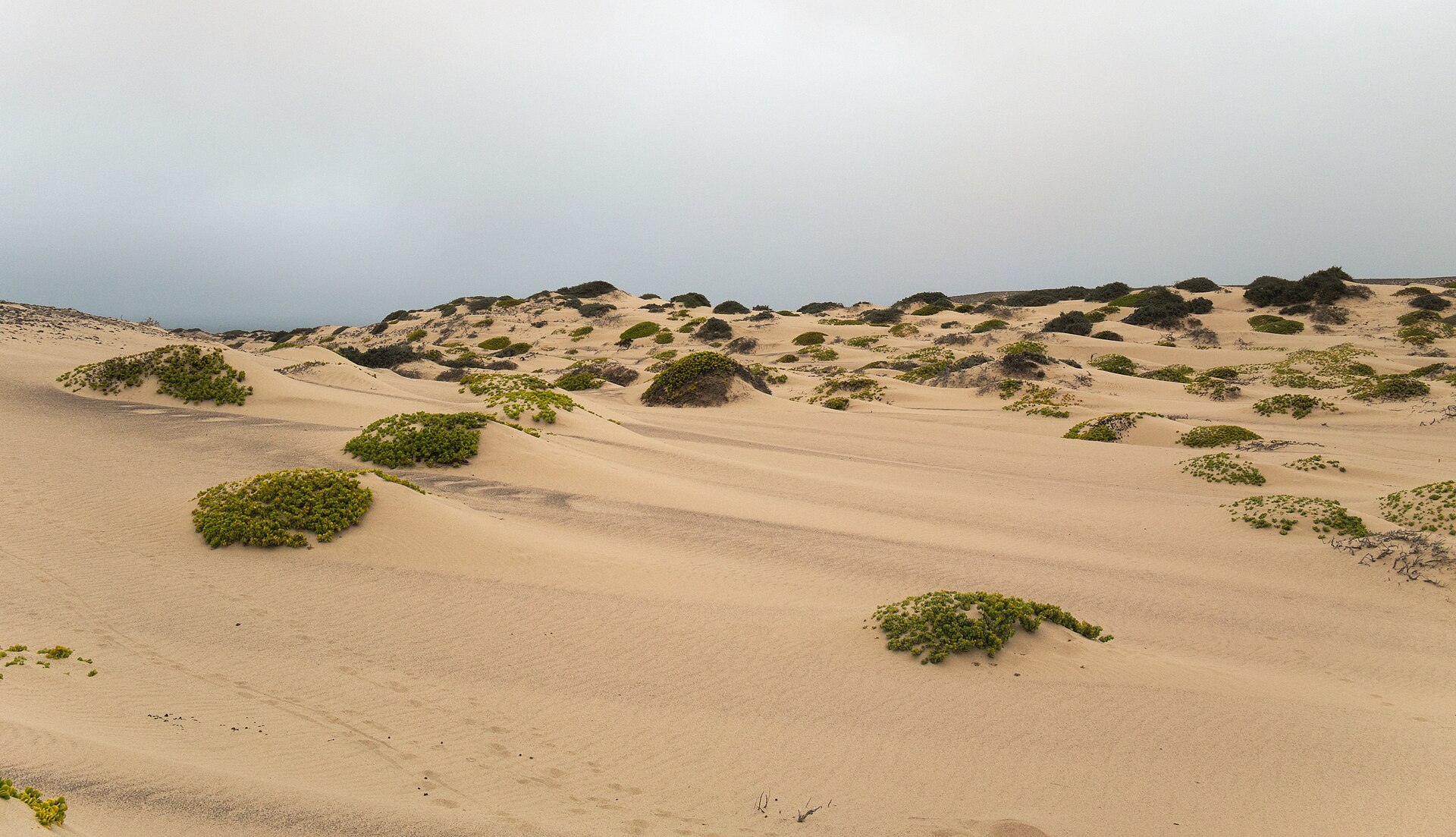 Skeleton Coast