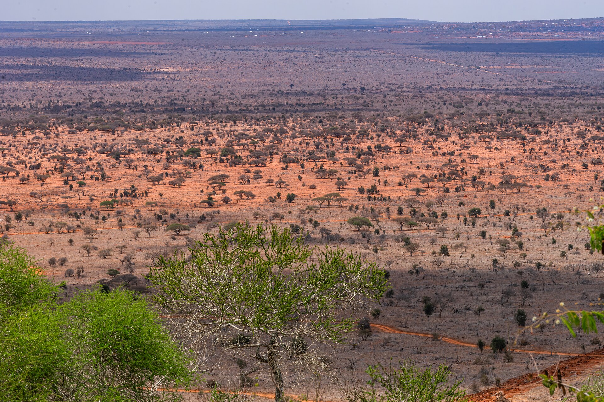 Tsavo West