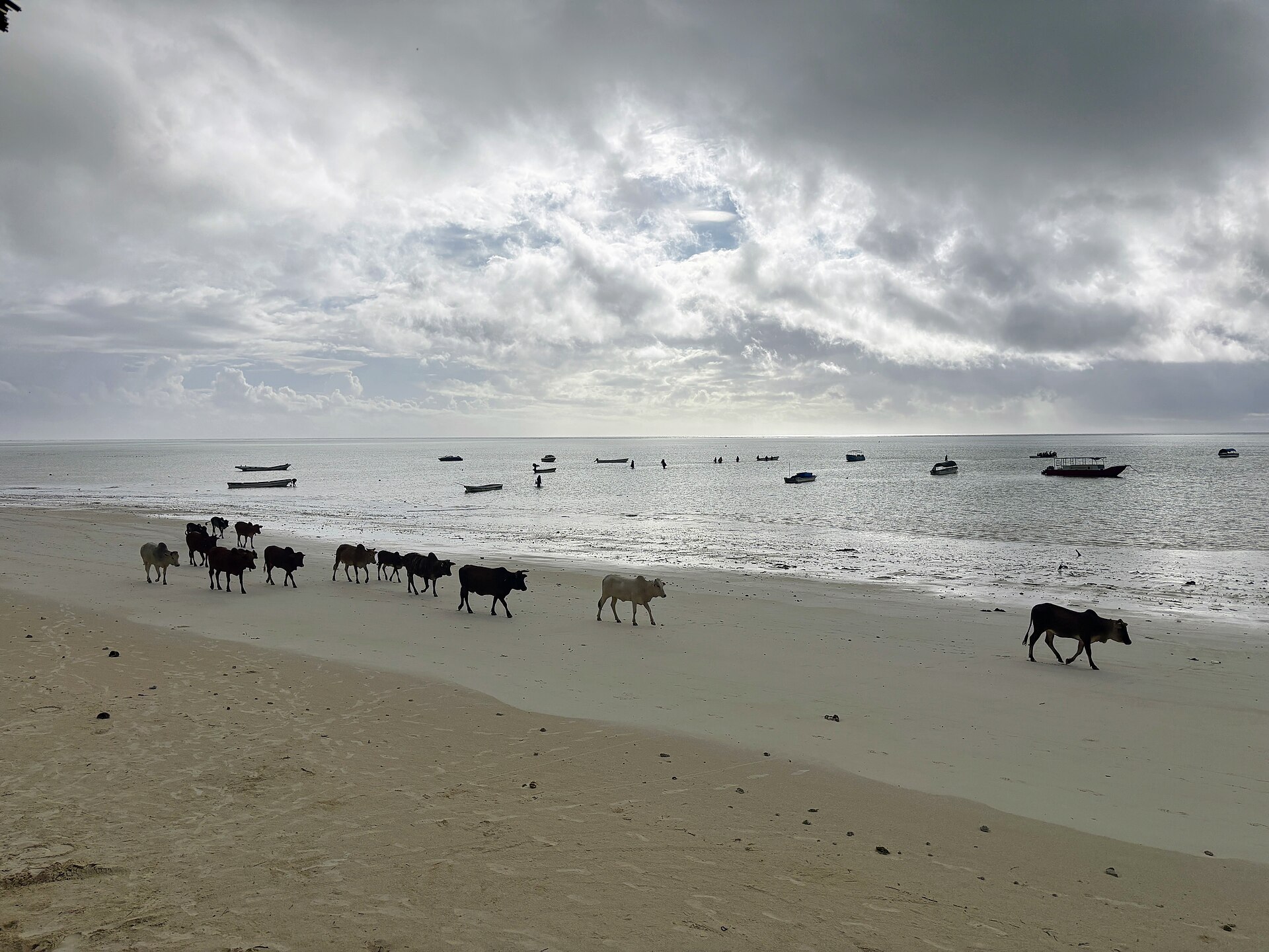 South & East Coast Zanzibar