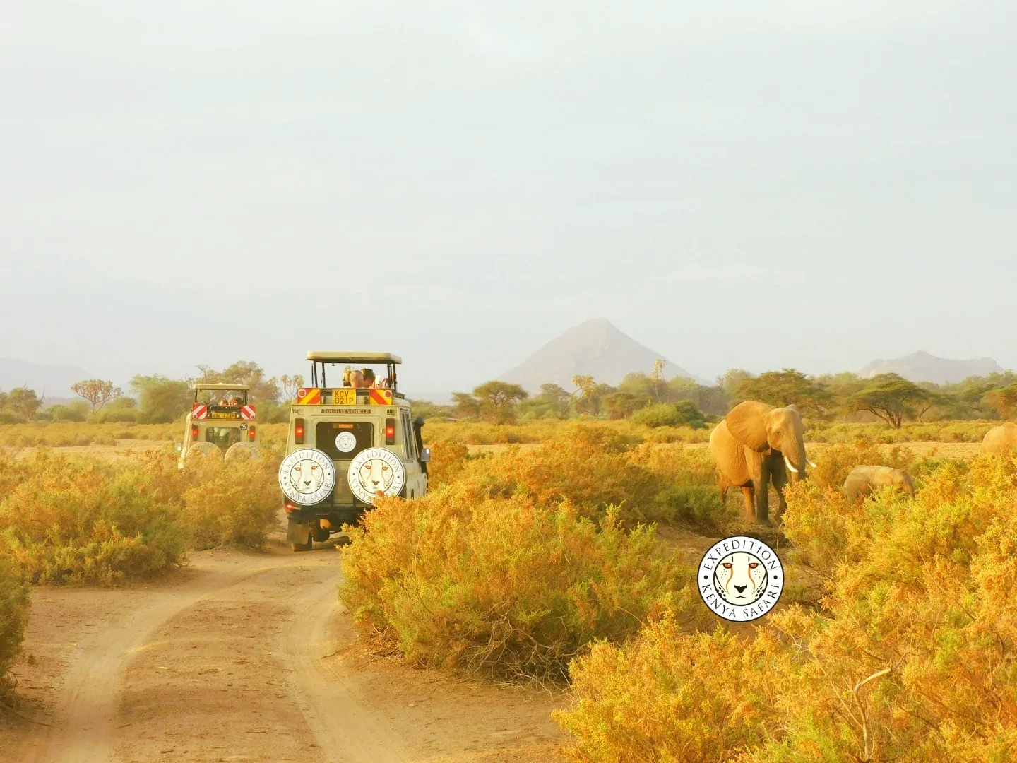 Samburu National Reserve