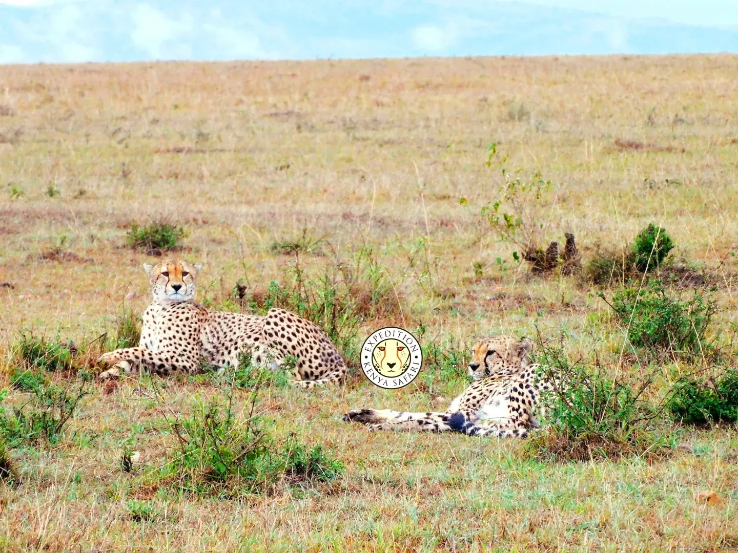 Ol Pejeta Conservancy