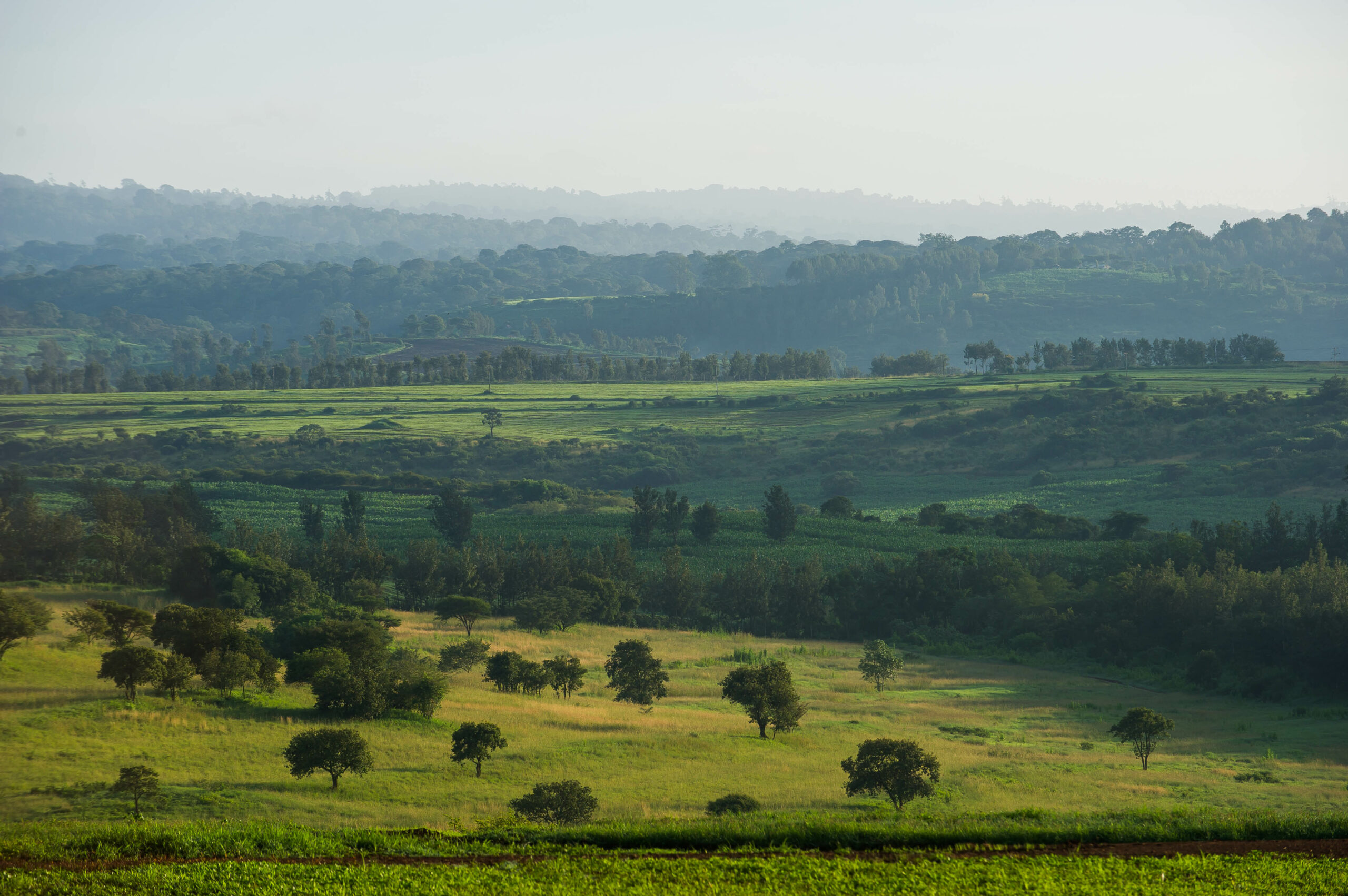 Farm House Valley - Image 2