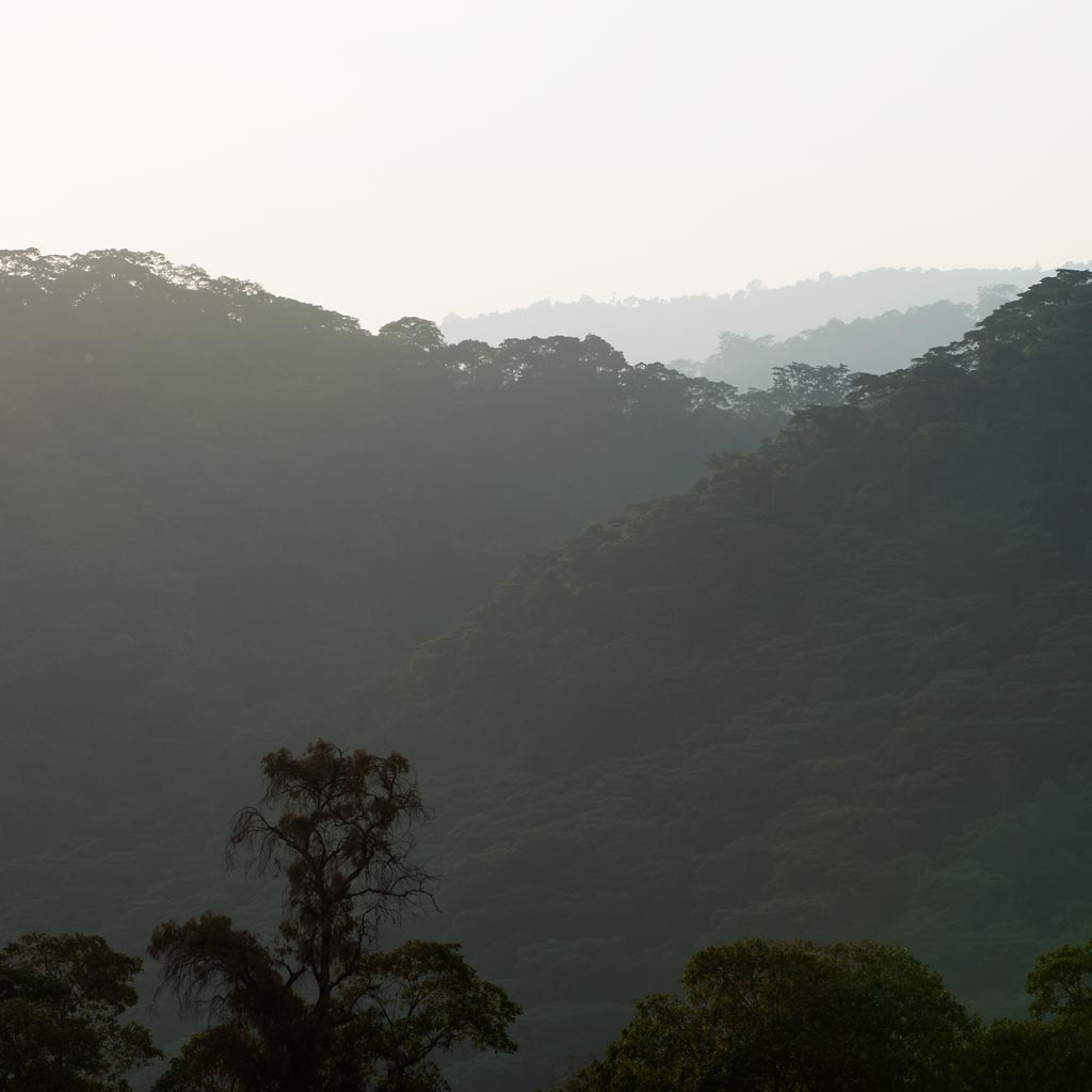 Kubu Kubu Tented Lodge - Image 7