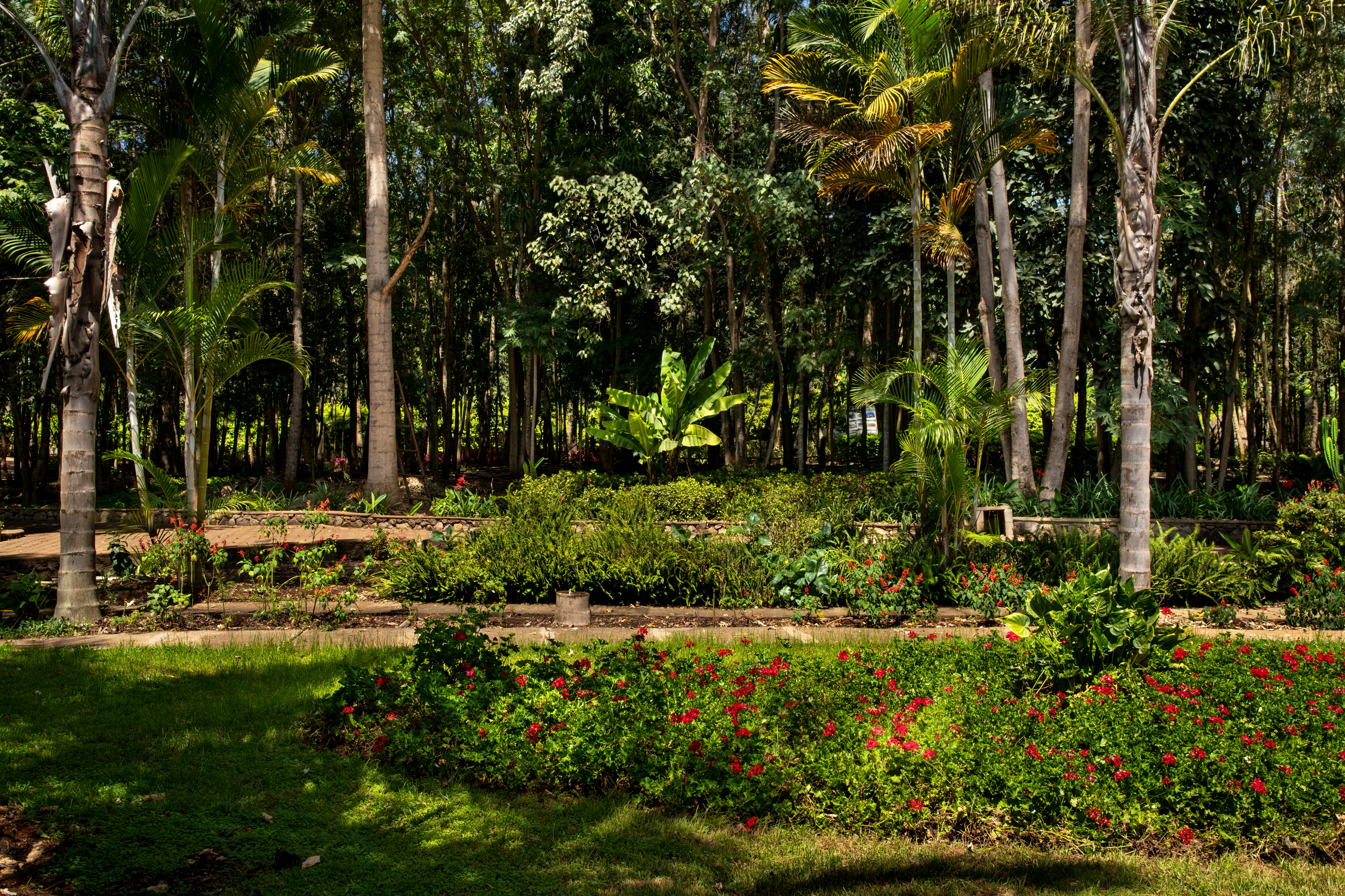 Lahia Tented Lodge - Image 3