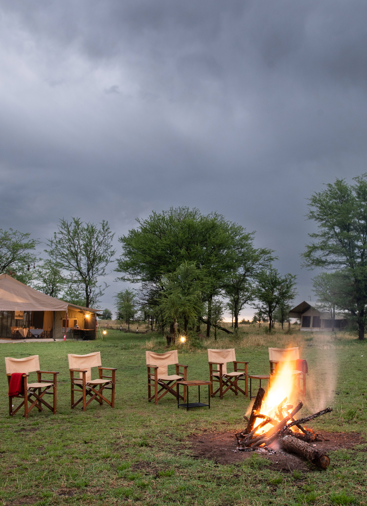 Ndutu Kati Kati Tented Camp - Image 6