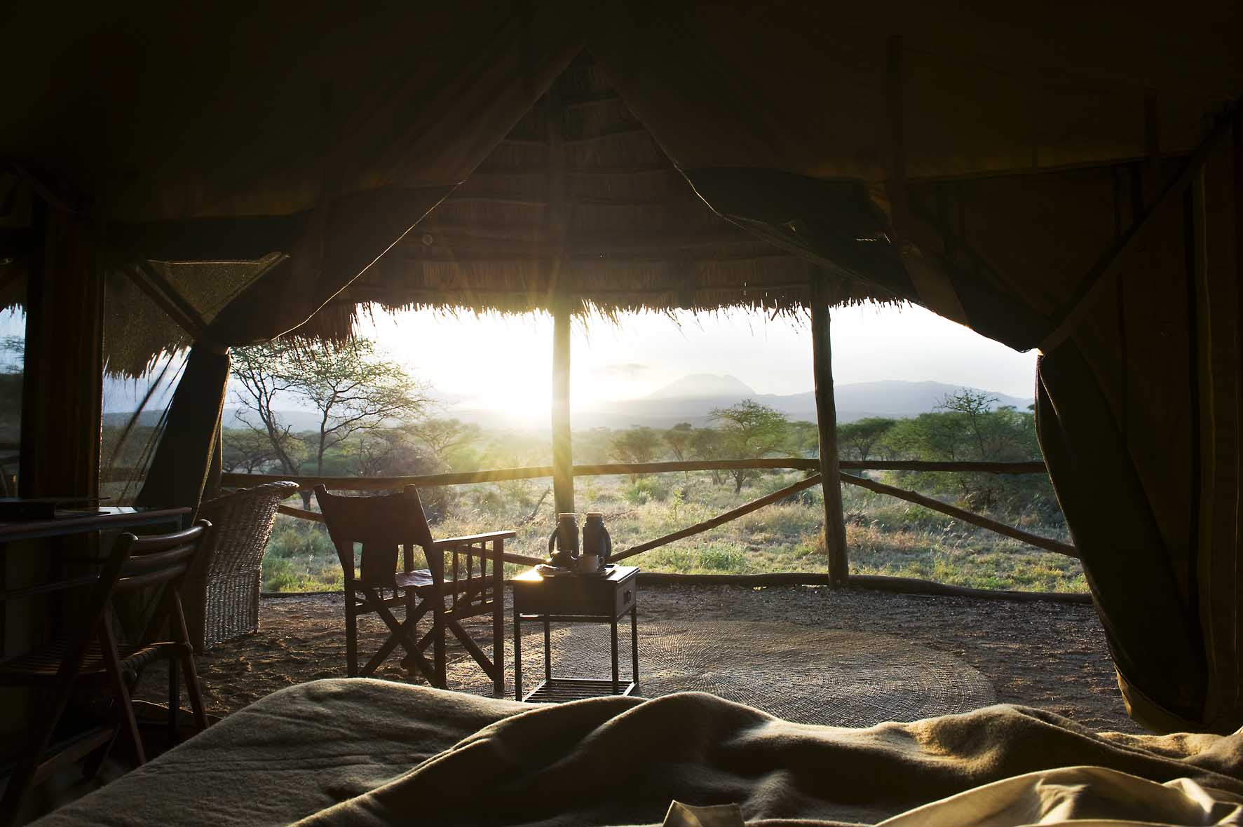 Ndutu Under Canvas - Image 5