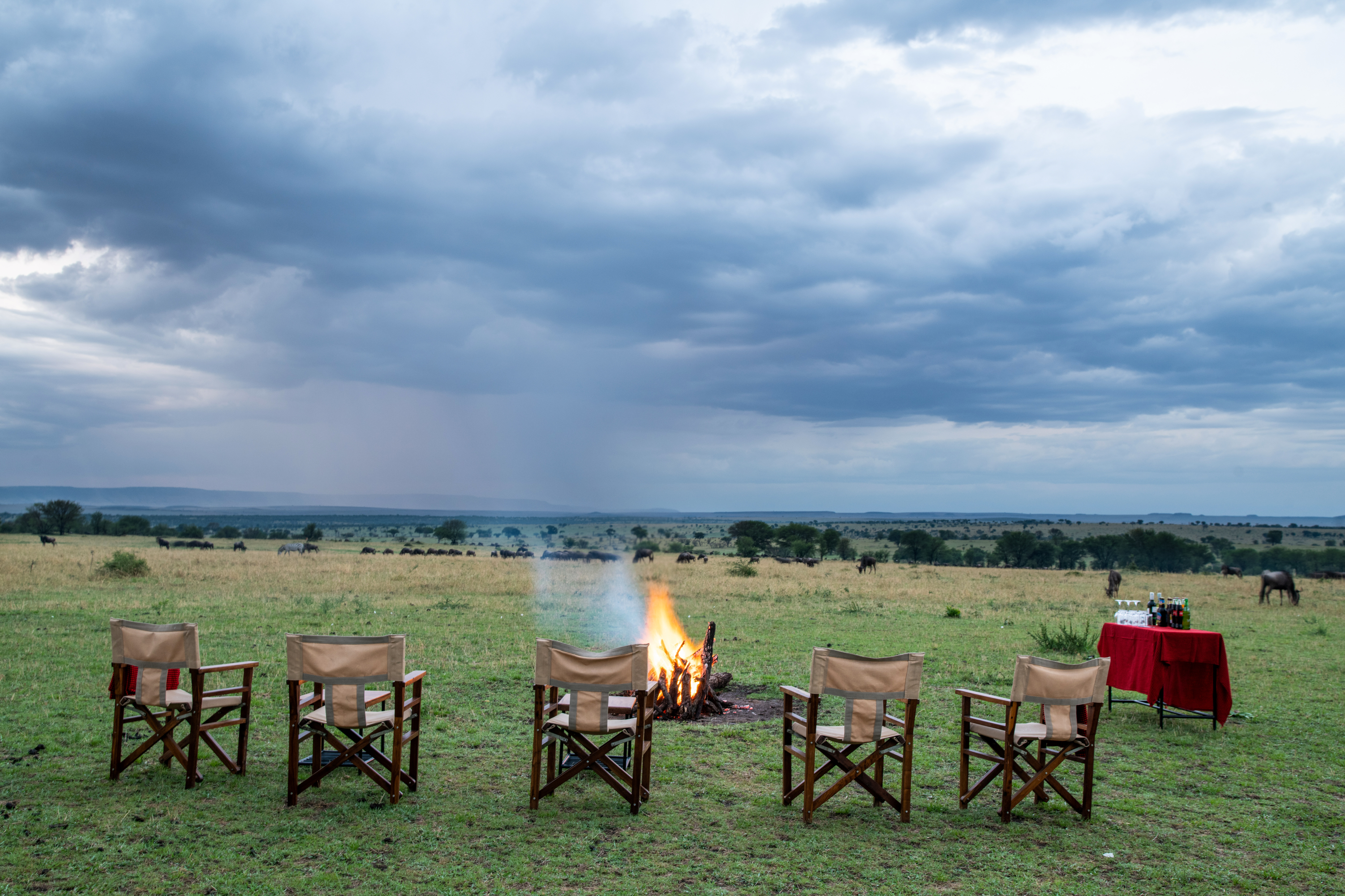 Serengeti Kati Kati Tented Camp - Image 1
