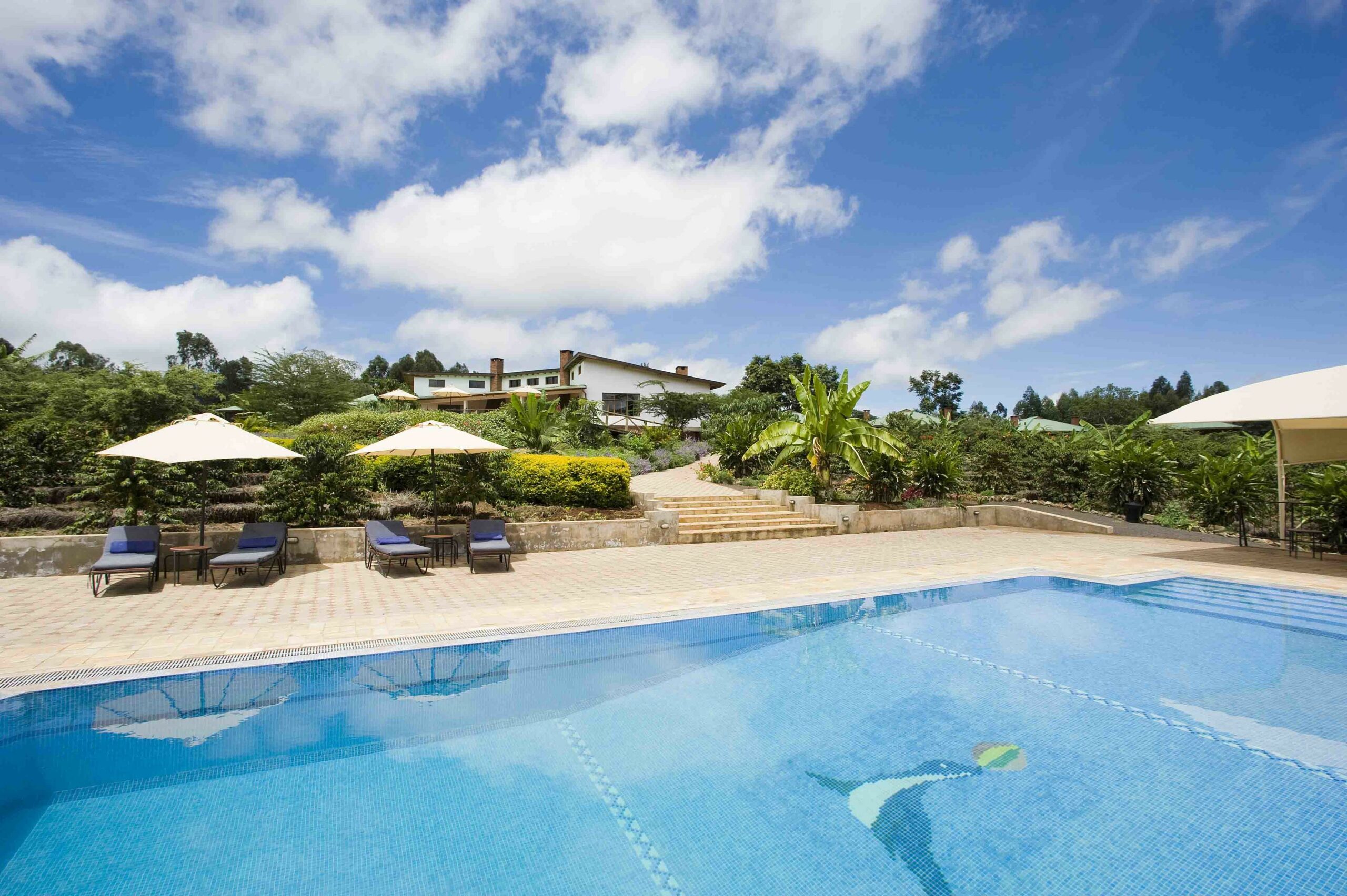 Tloma Lodge - Image 2