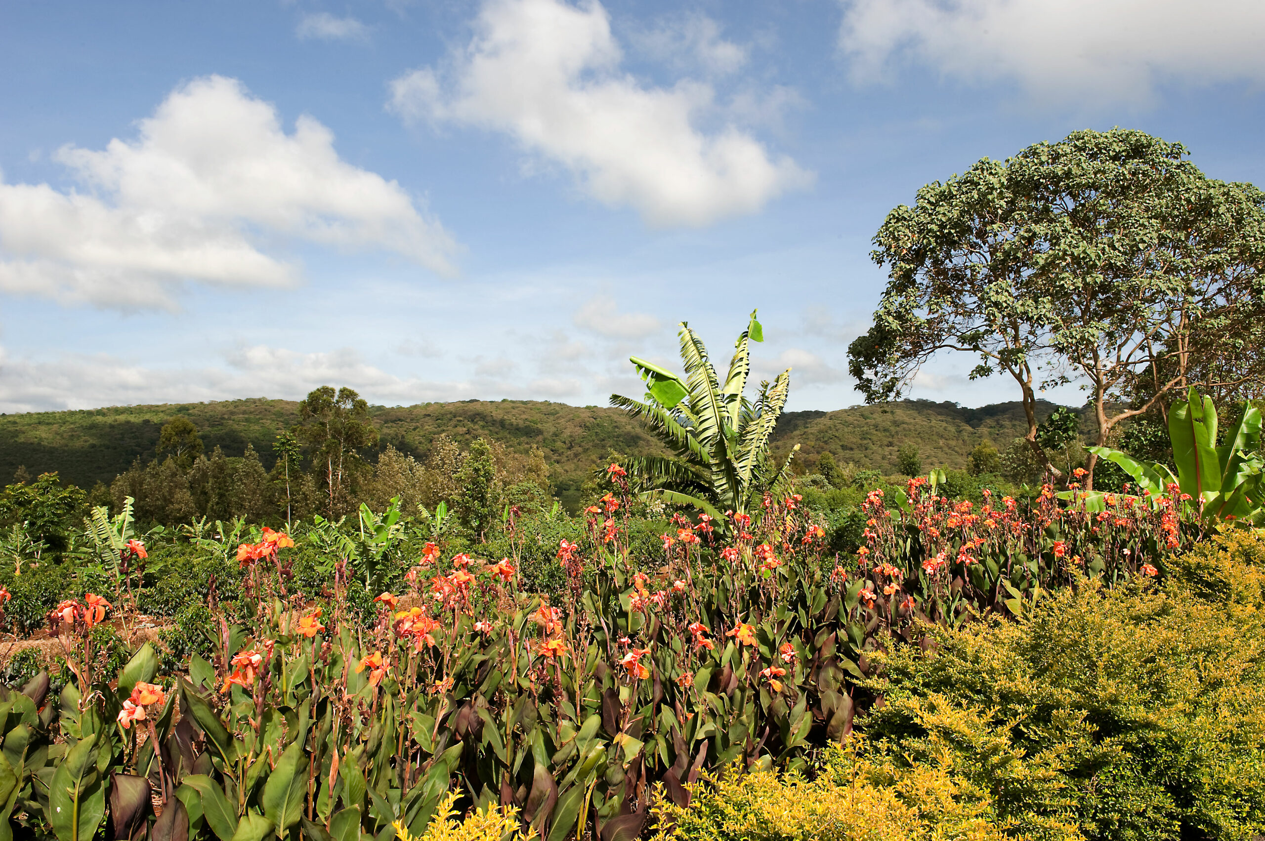 Tloma Lodge - Image 7