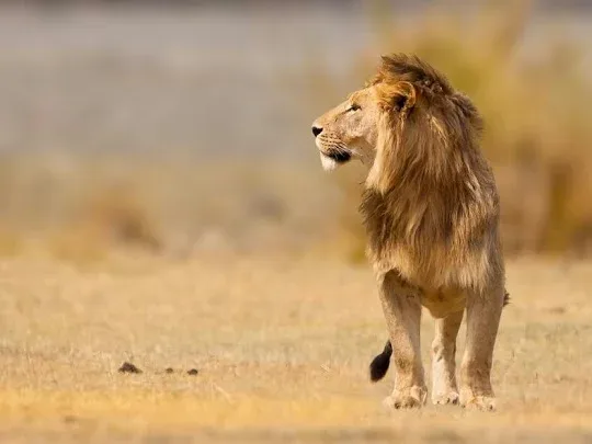 Serengeti National Park