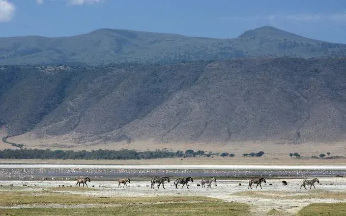 3 DAYS GROUP CAMPING - SERENGETI & NGORONGORO — on safari