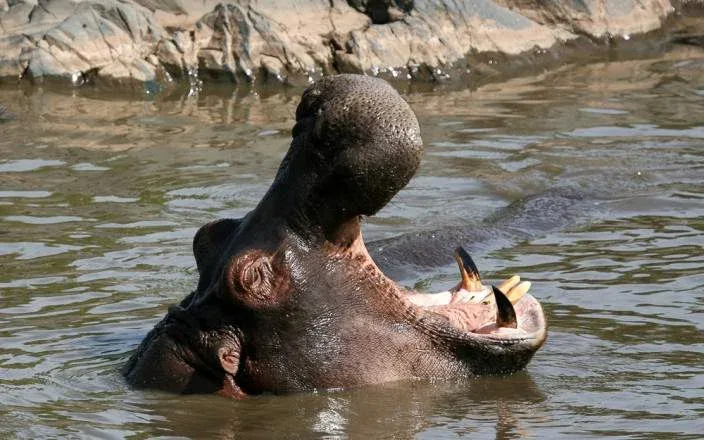 3 DAYS GROUP CAMPING - SERENGETI & NGORONGORO gallery item 5