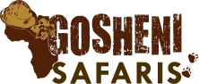 Gosheni Safaris Africa
