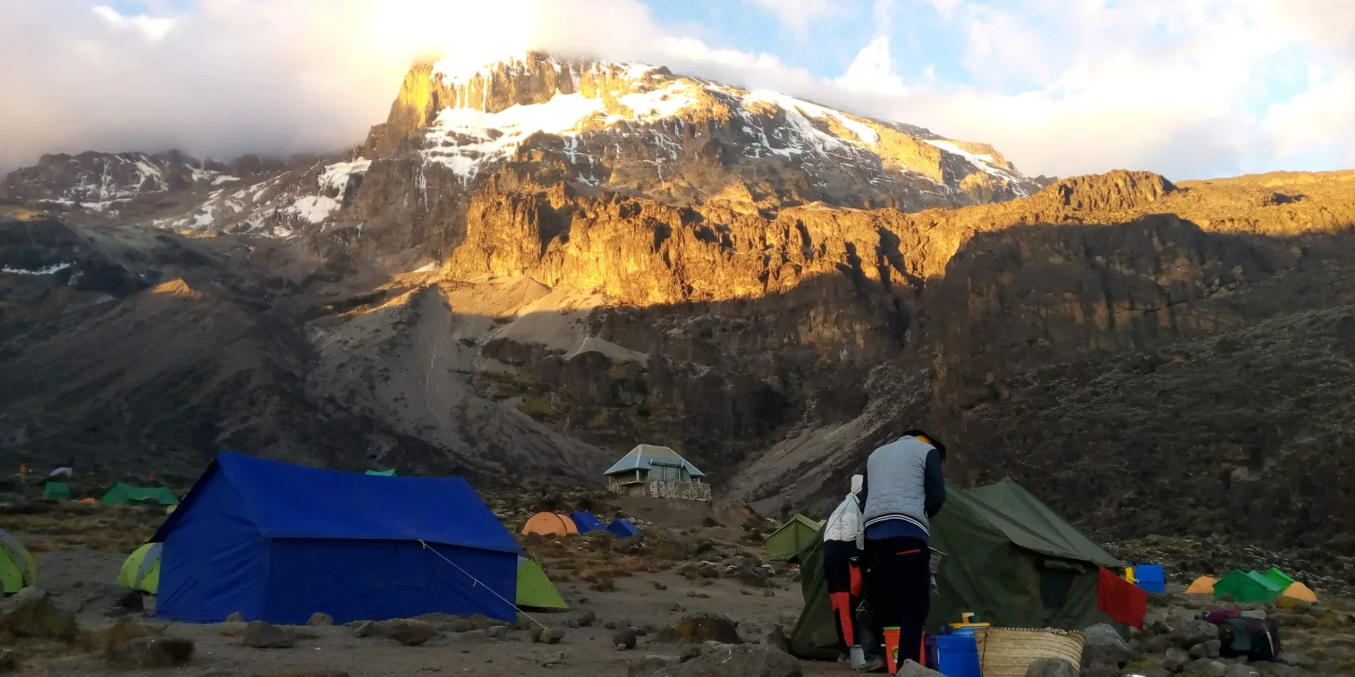8 days Kilimanjaro Lemosho route — on safari