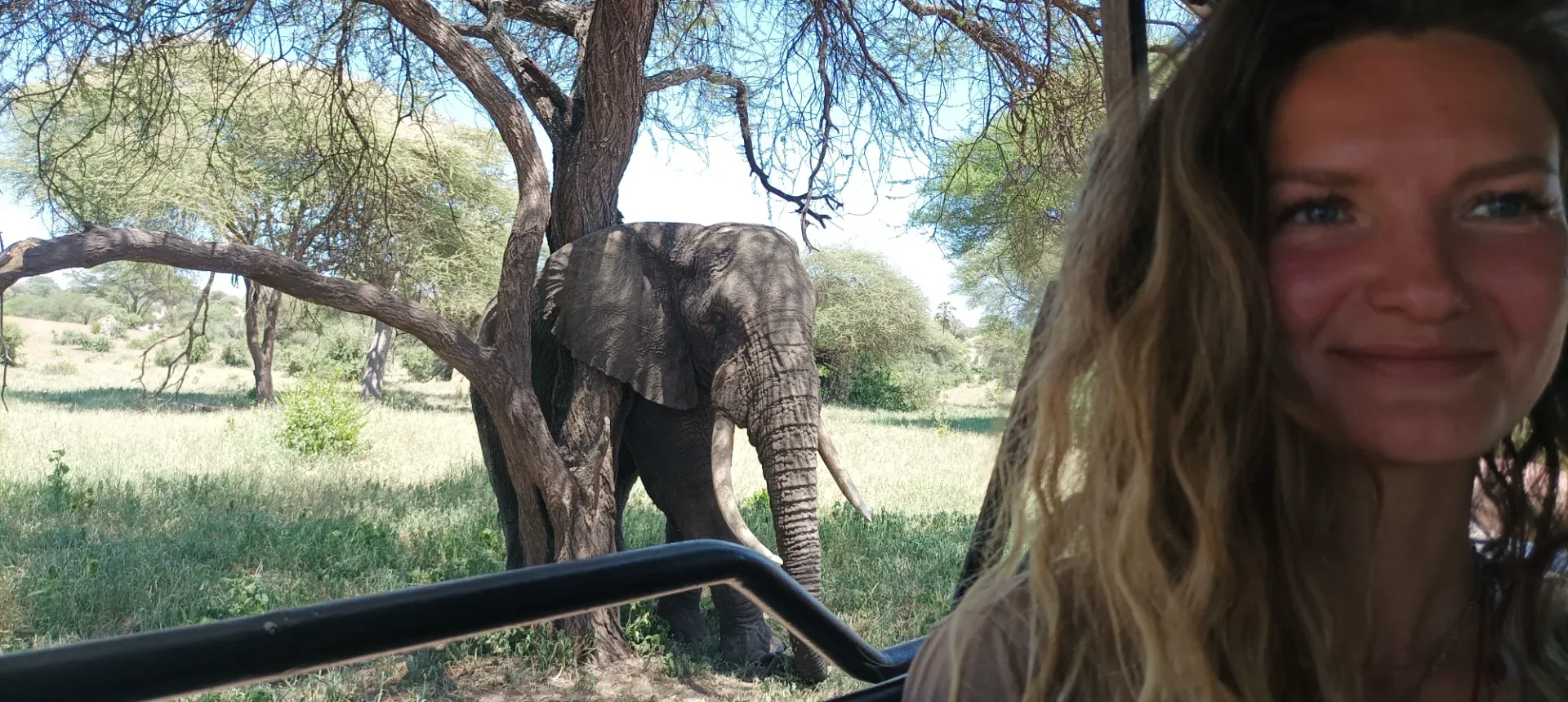 6 days Tanzania wildlife safari photo 12