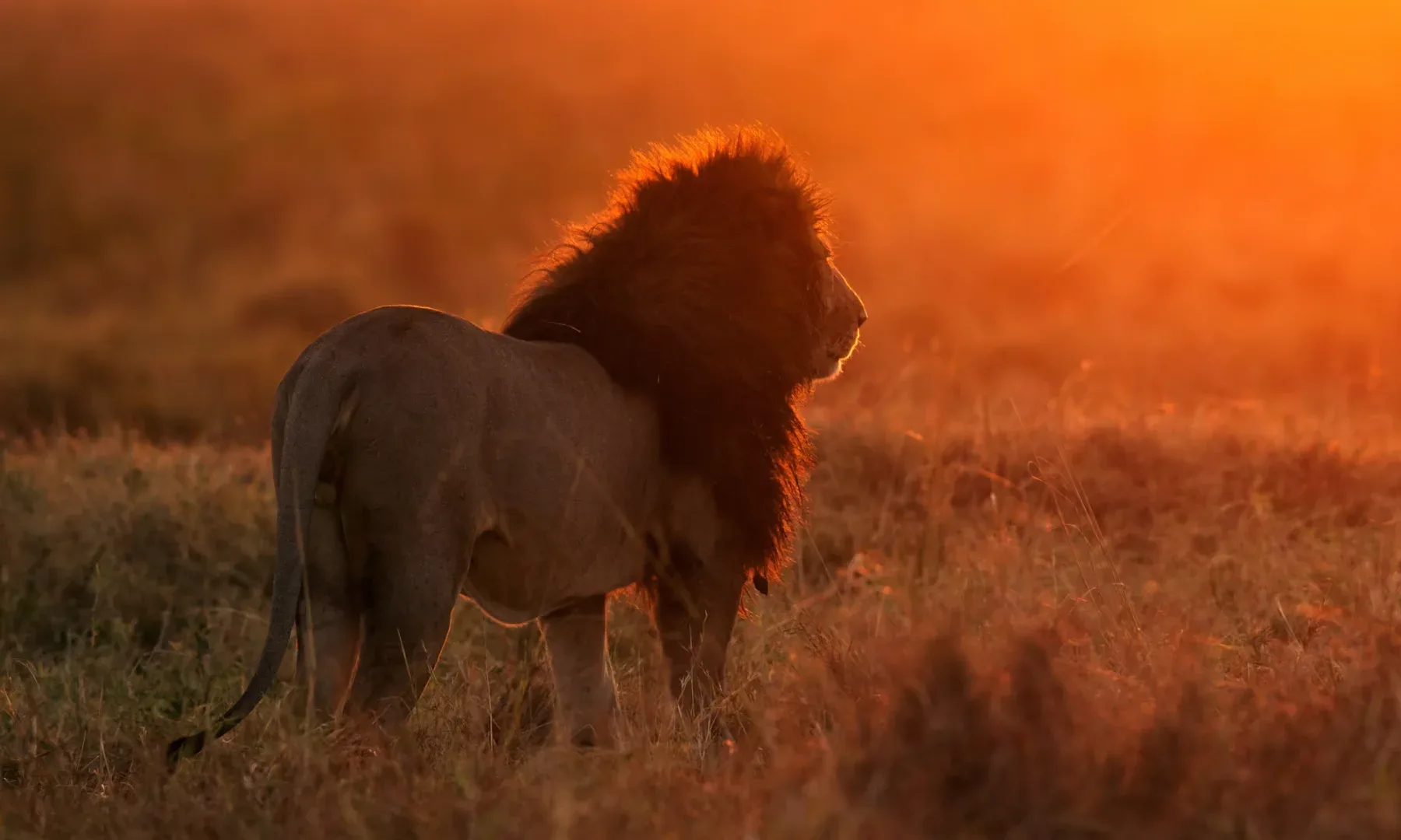 Tanzania Big Five & Great Migration Adventure — 8-day adventure safari tour