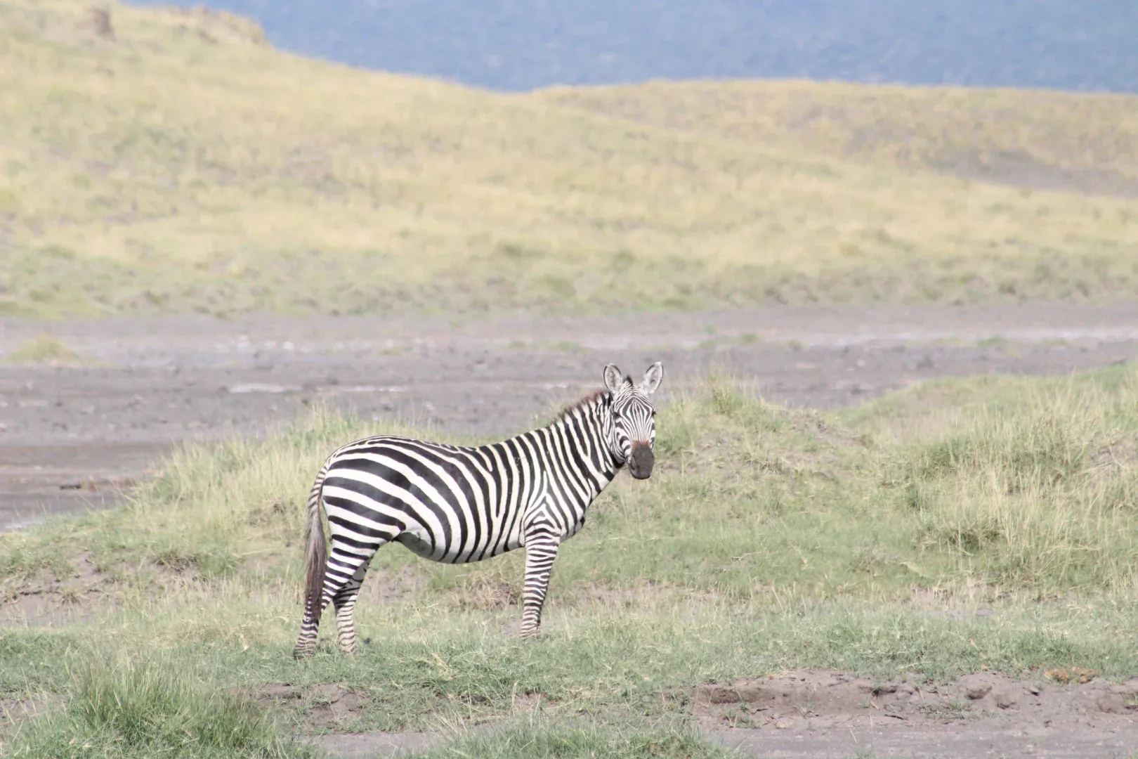 Drive to Natron