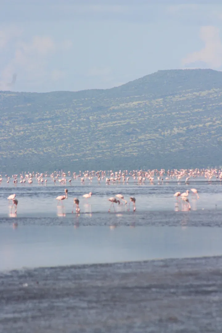 LAKE NATRON