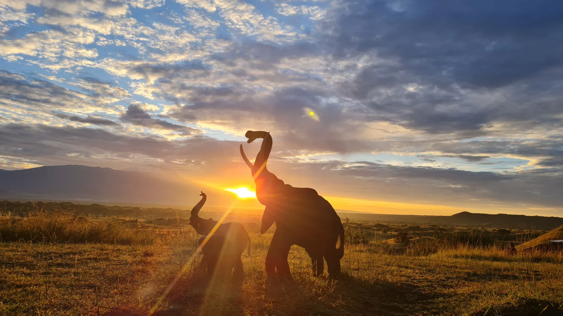 Tarangire National Park