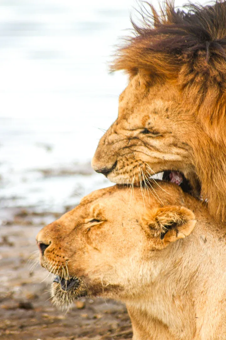 Serengeti National Park