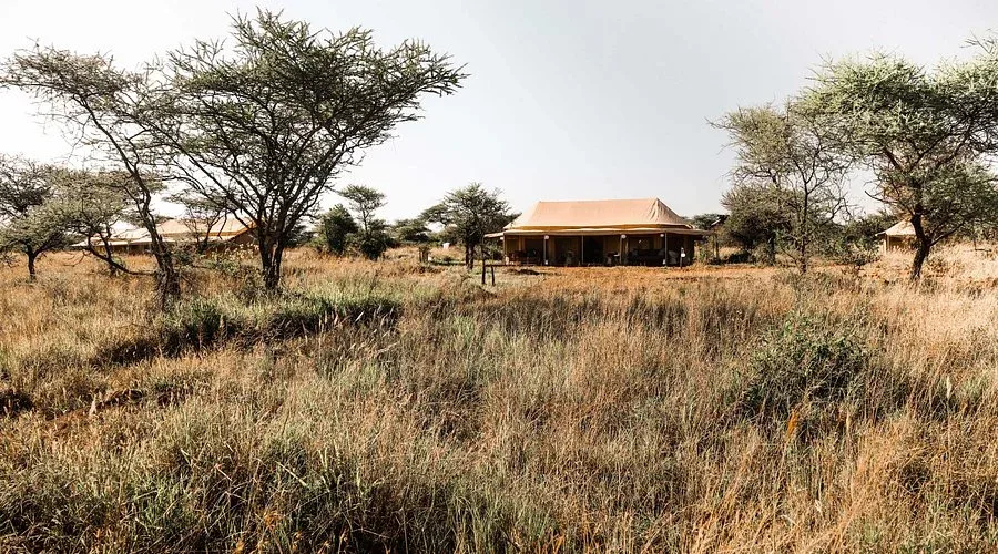HONEYMOON SAFARI - 9 DAYS gallery item 12