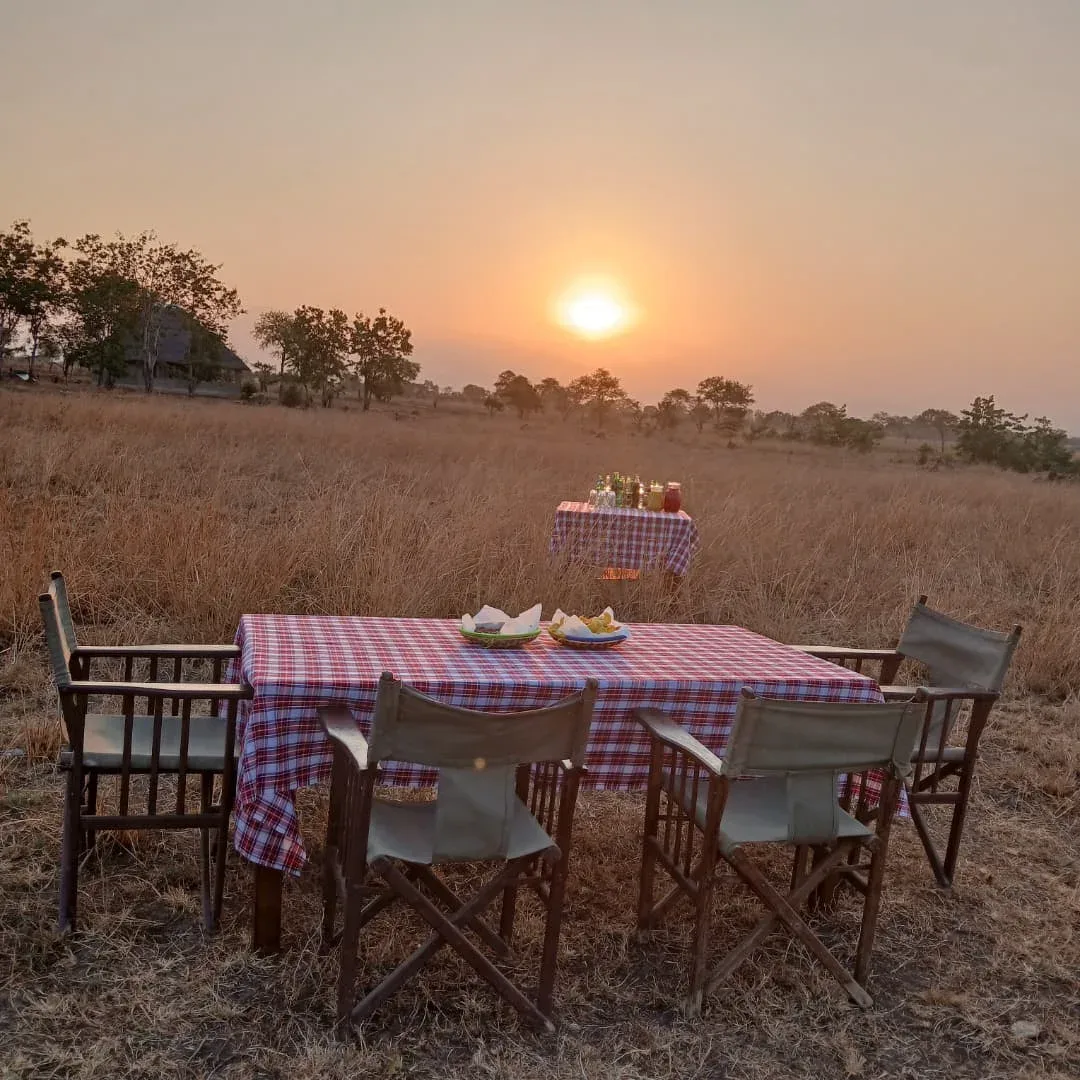 HONEYMOON SAFARI - 9 DAYS gallery item 14