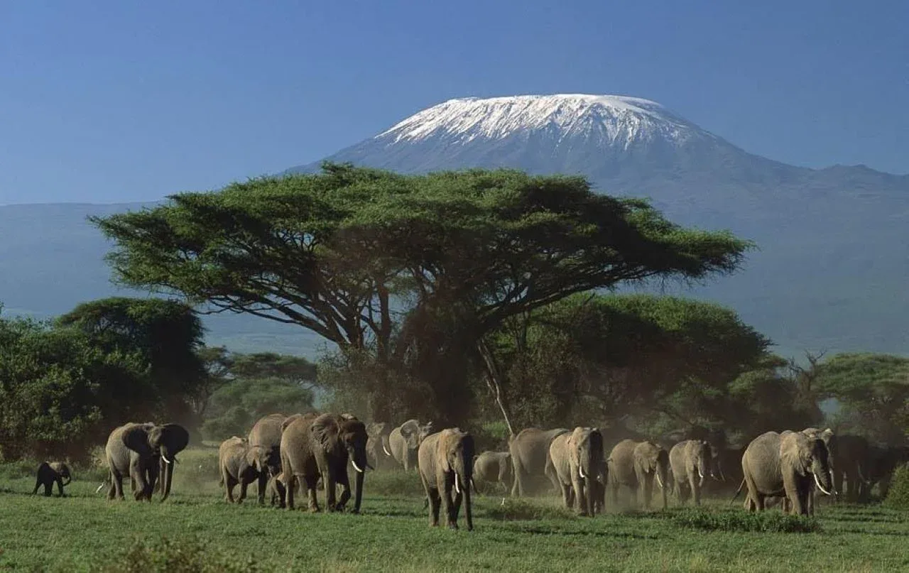 2 days Amboseli National Park safari from Nairobi — on safari