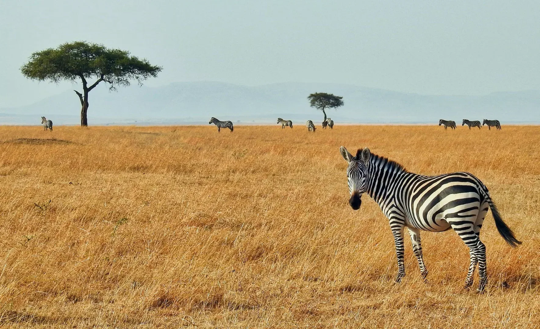 Amboseli National Park