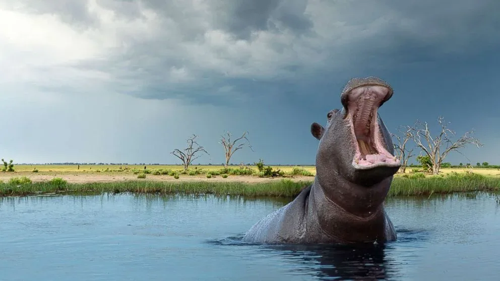 Tarangire National Park