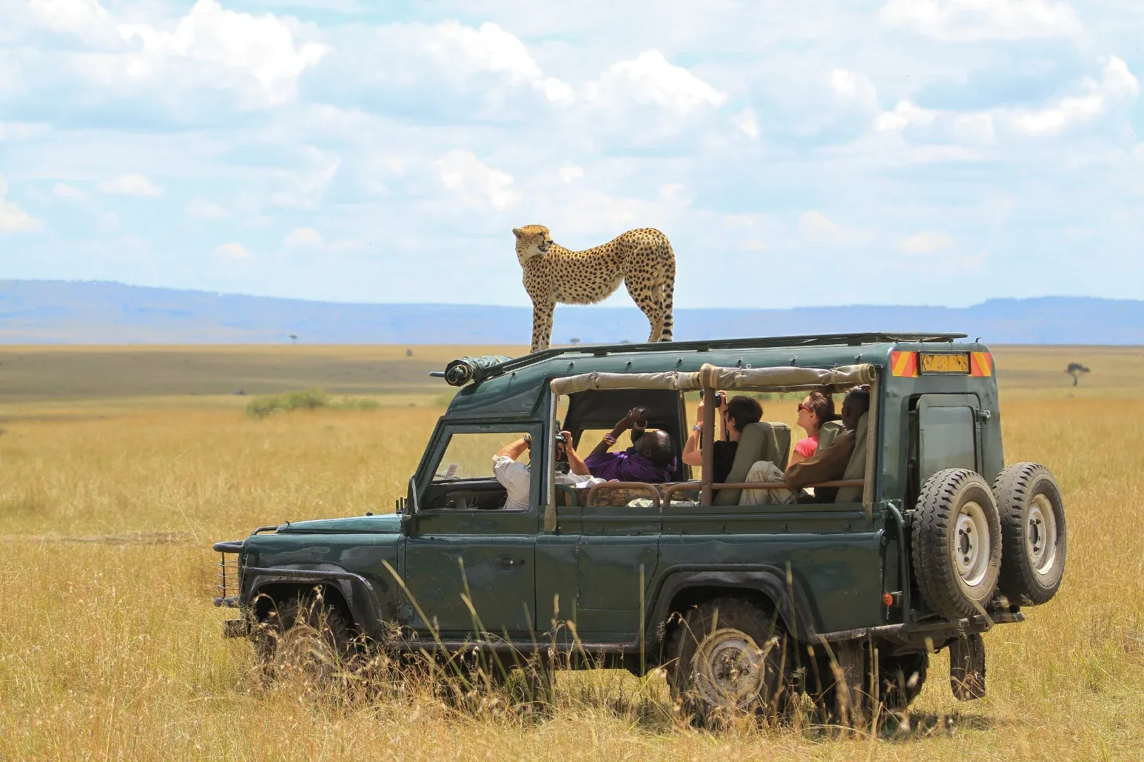 Central Serengeti