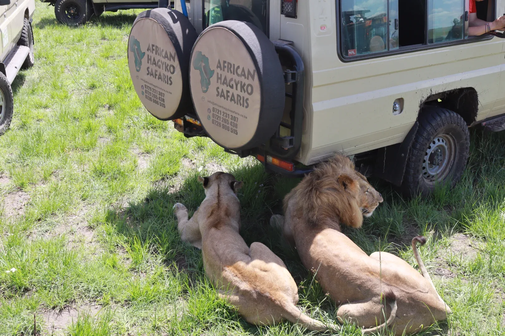3 Days Masai Mara Fascinating Safari Adventure photo 9