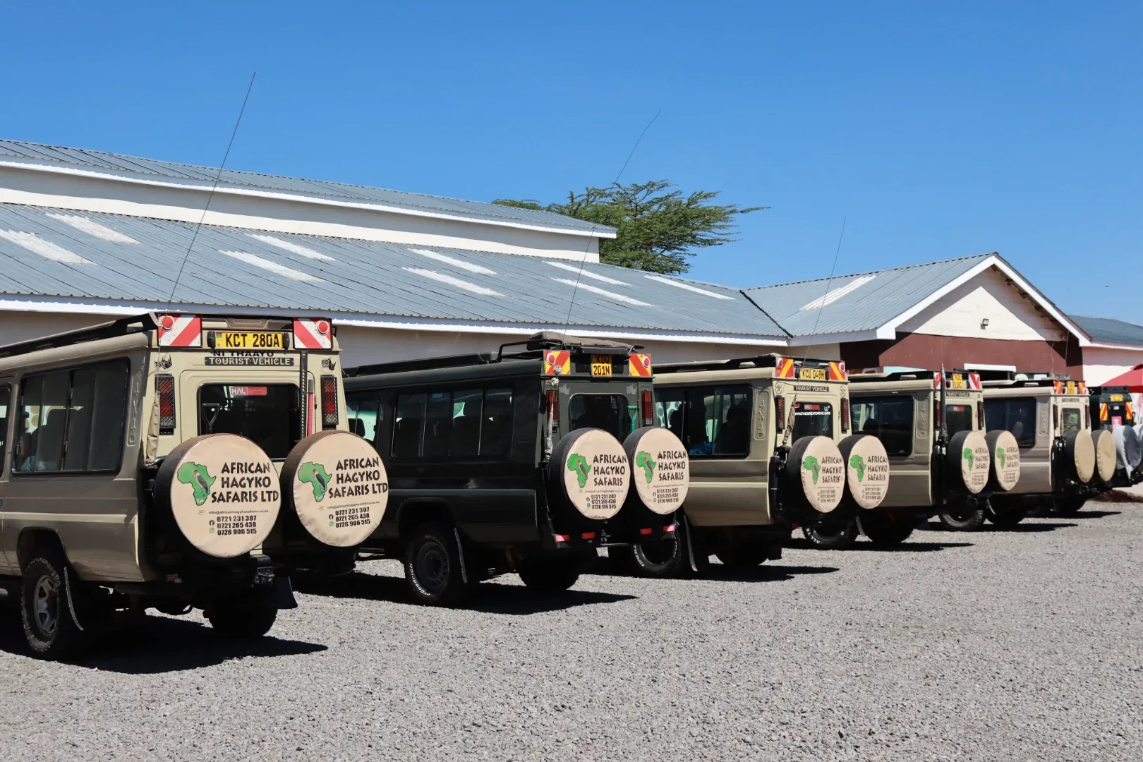 2 days Amboseli National Park Safari Adventure — on safari