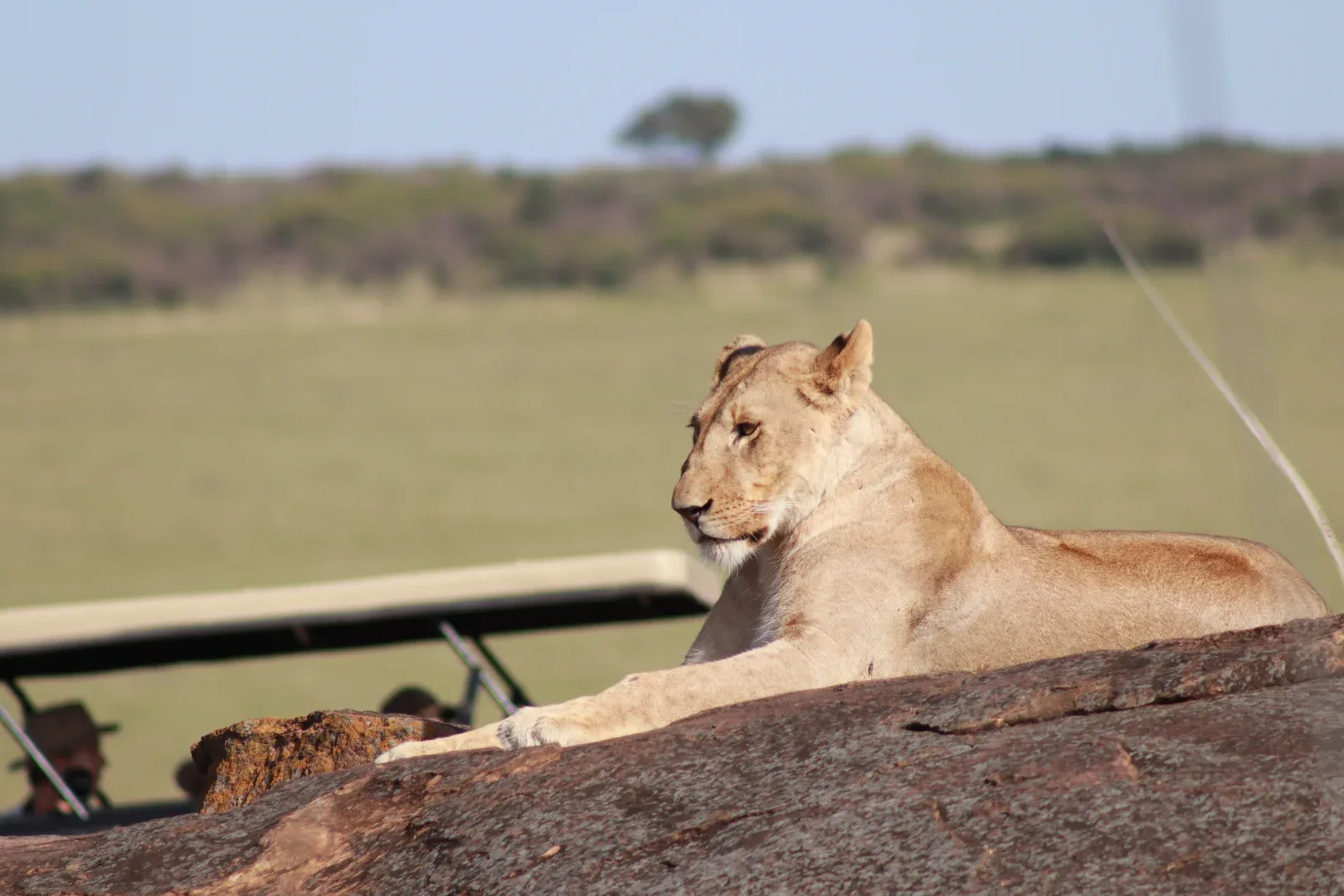 Lake Nakuru