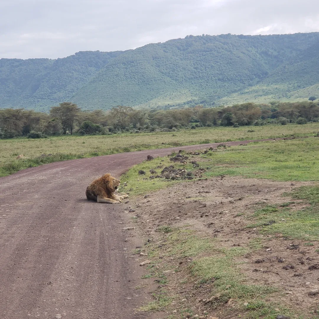 Legacy Destinations & DMC Bird Watching Tanzania