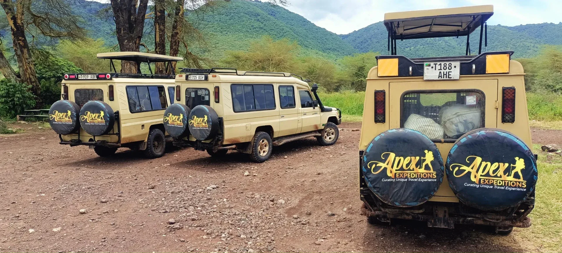 Splendid Tanzania Safari — 2-day wildlife safari safari tour