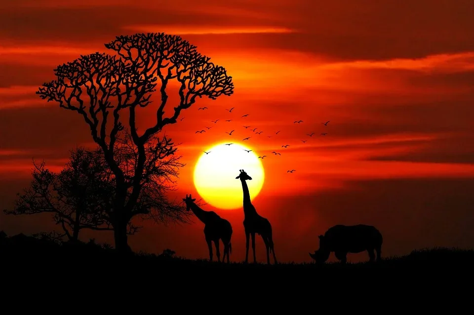 Splendid Tanzania Safari — on safari