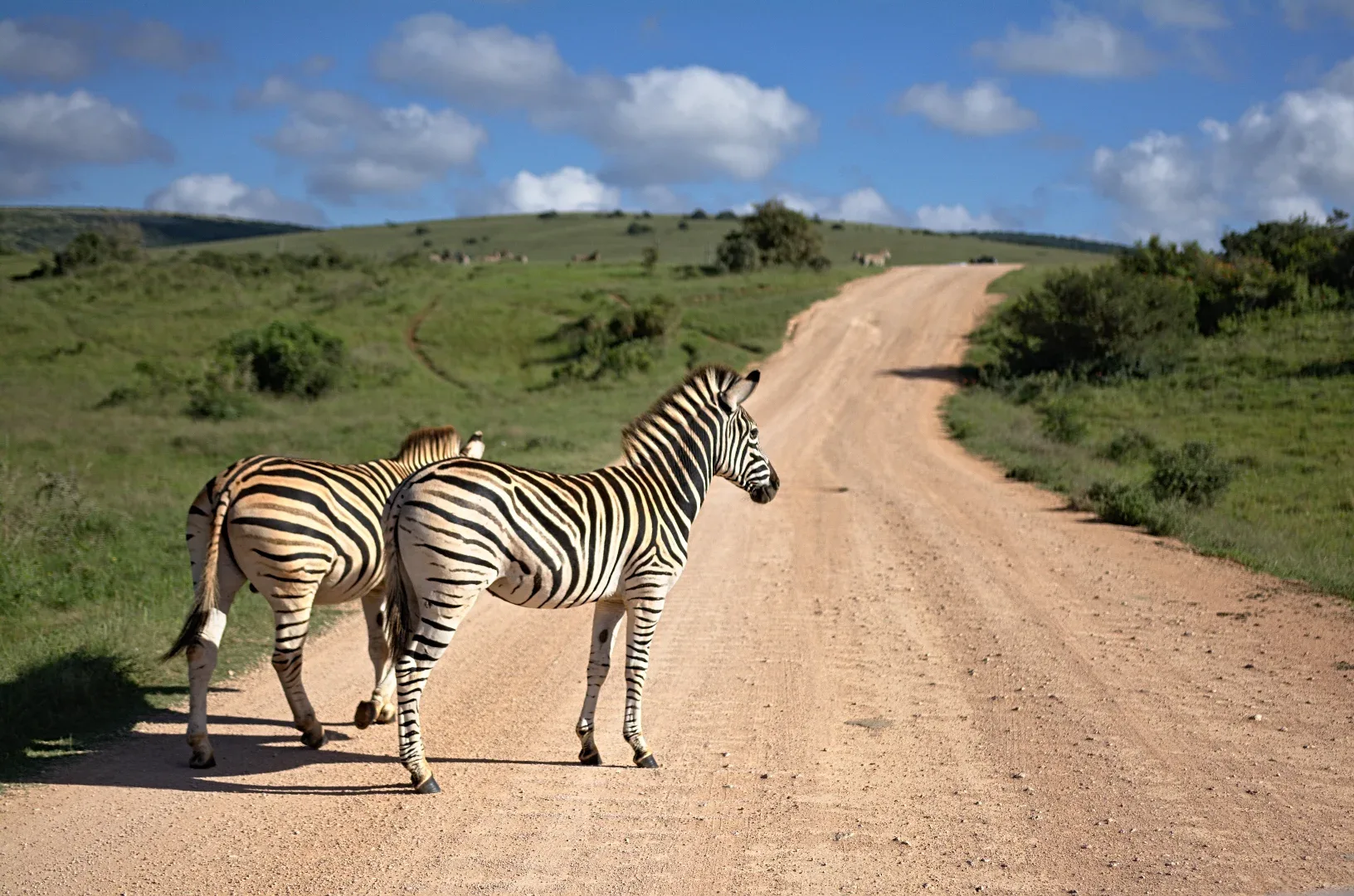 Arusha