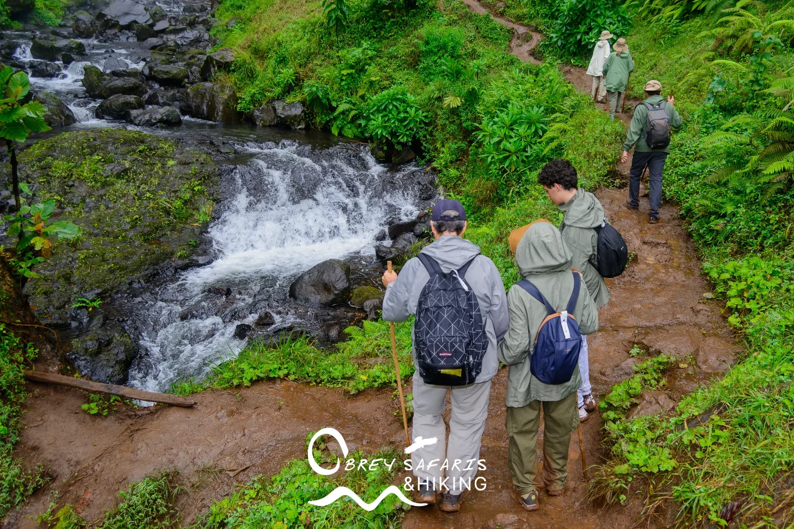 Materuni Waterfalls and Coffee Tour photo 4